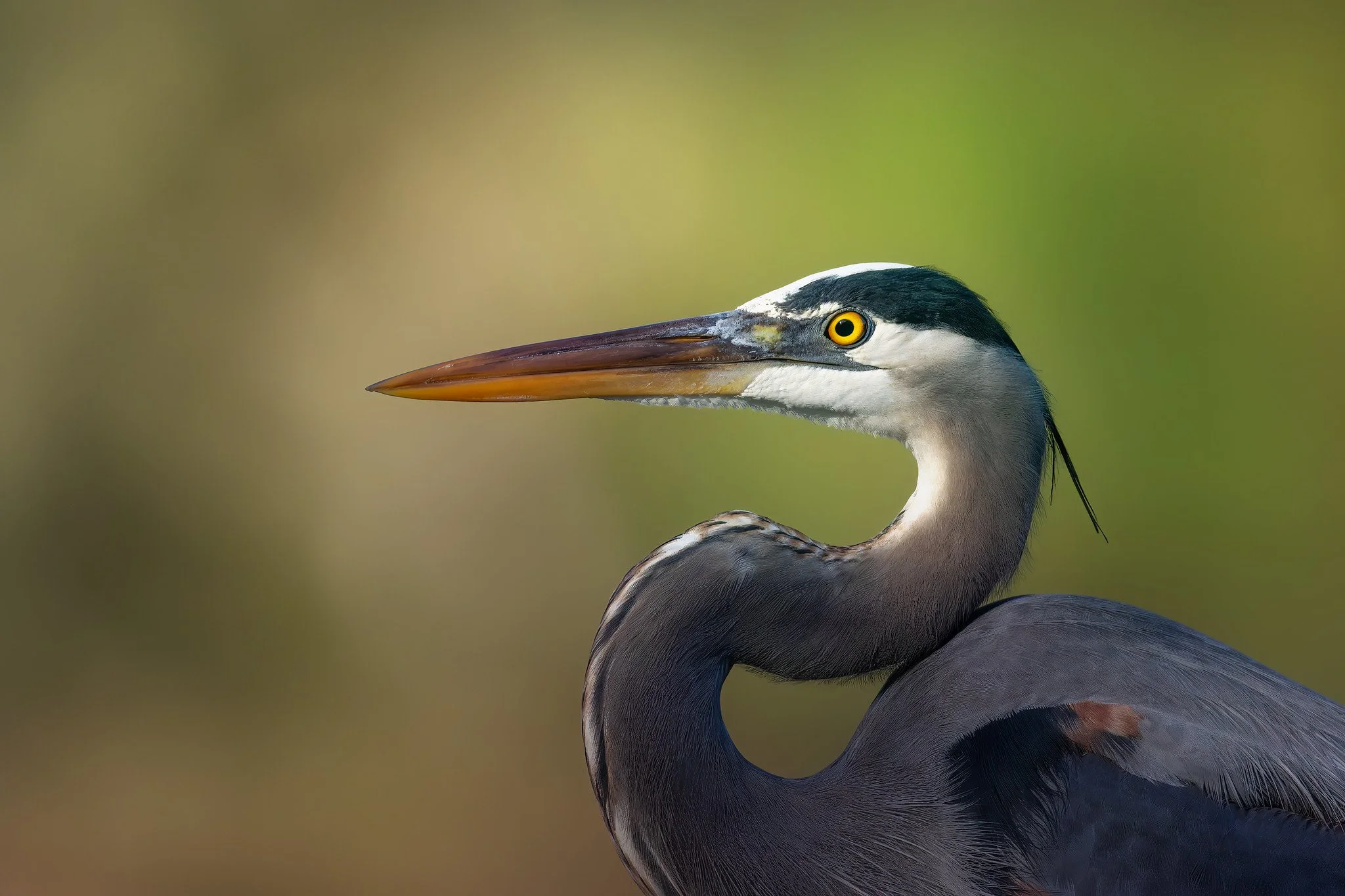 020A8430-DxO_DeepPRIME XD2s-Edit-Edit.jpg