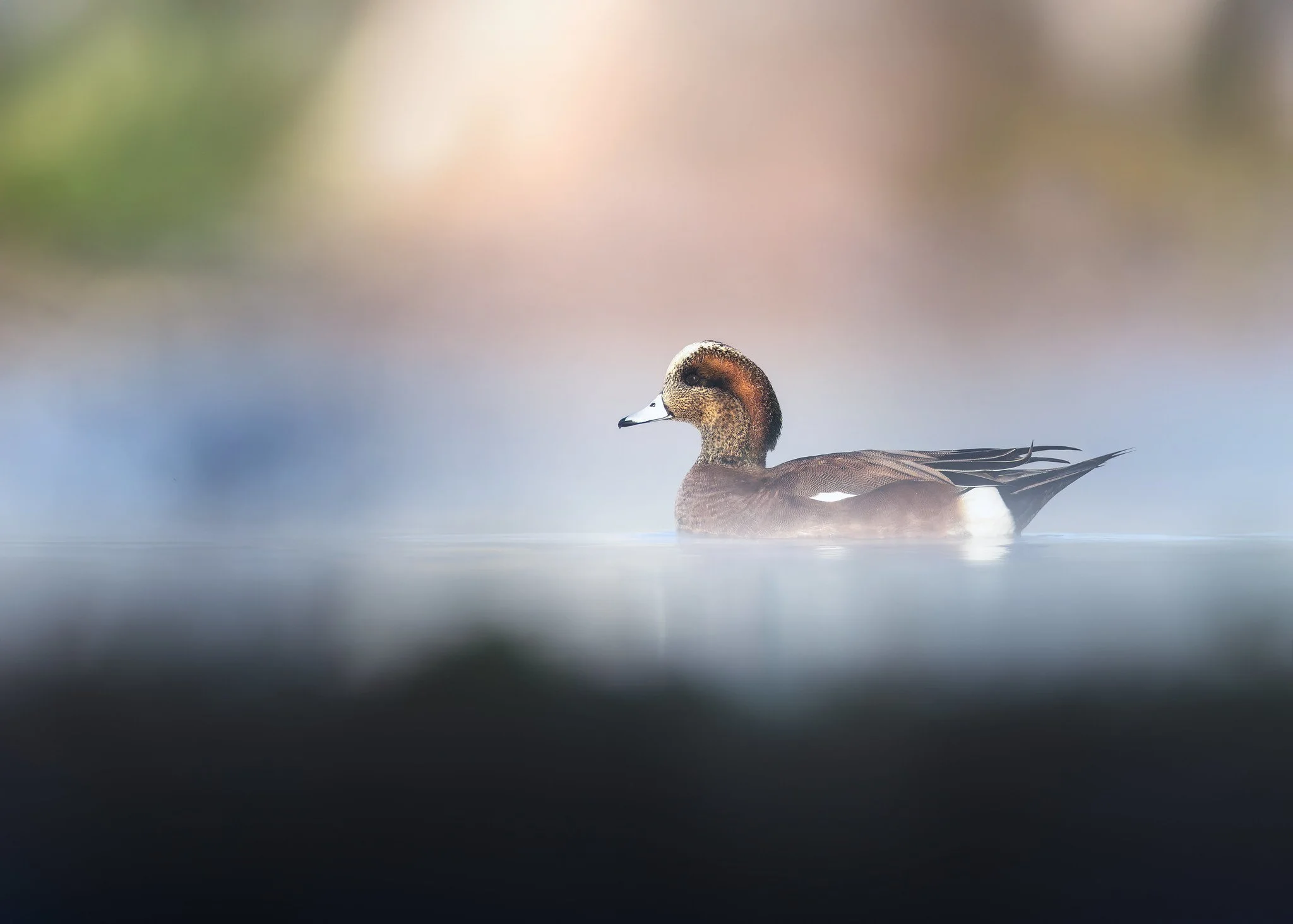 020A7073-DxO_DeepPRIME XD2s-Edit-Edit-Edit-Edit.jpg