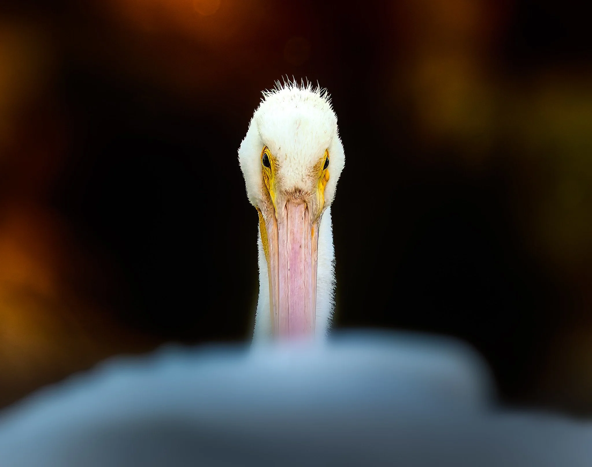 20251130-020A9991-Edit-Edit.jpg