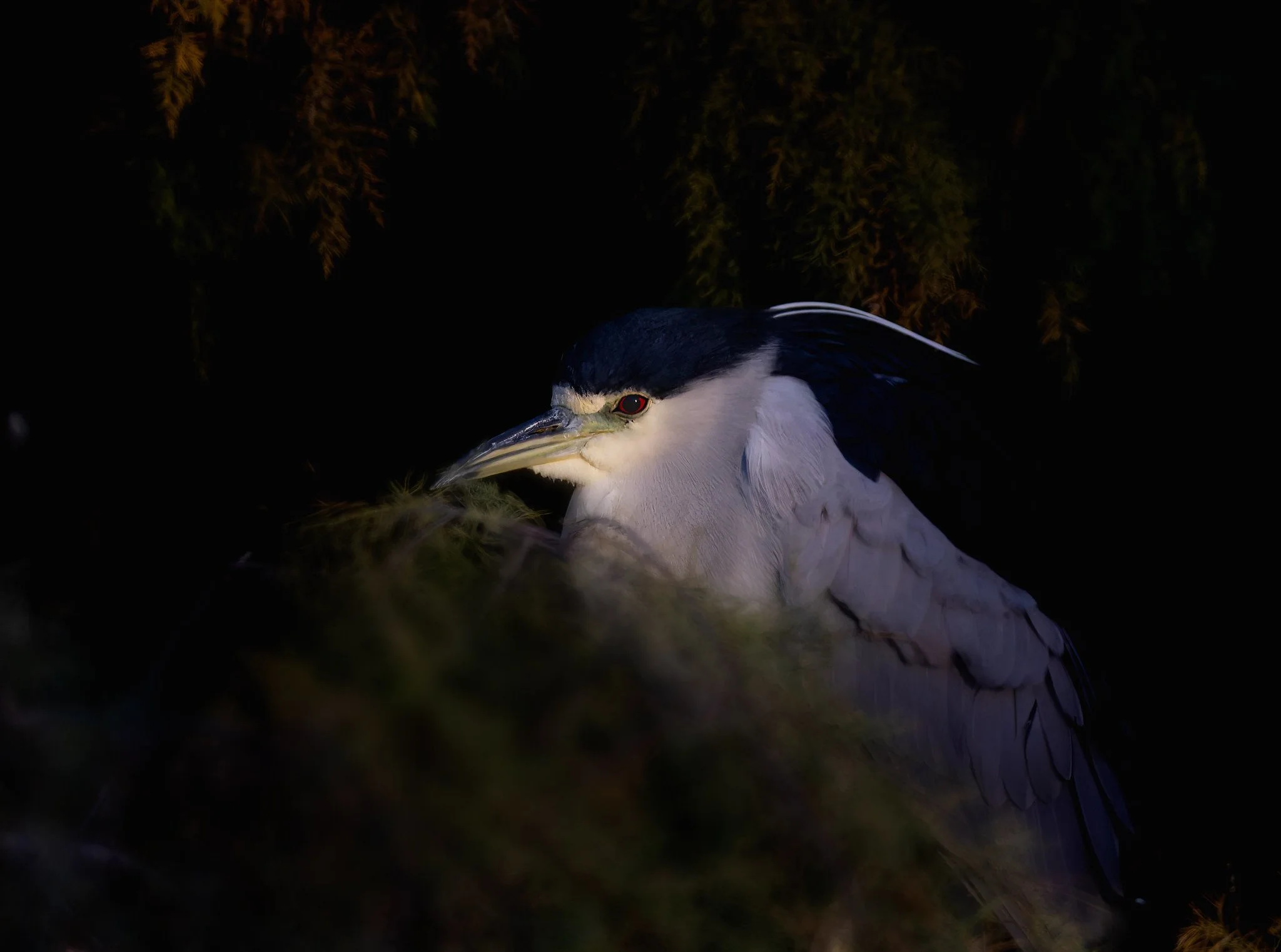 20251210-020A3794-Edit.jpg