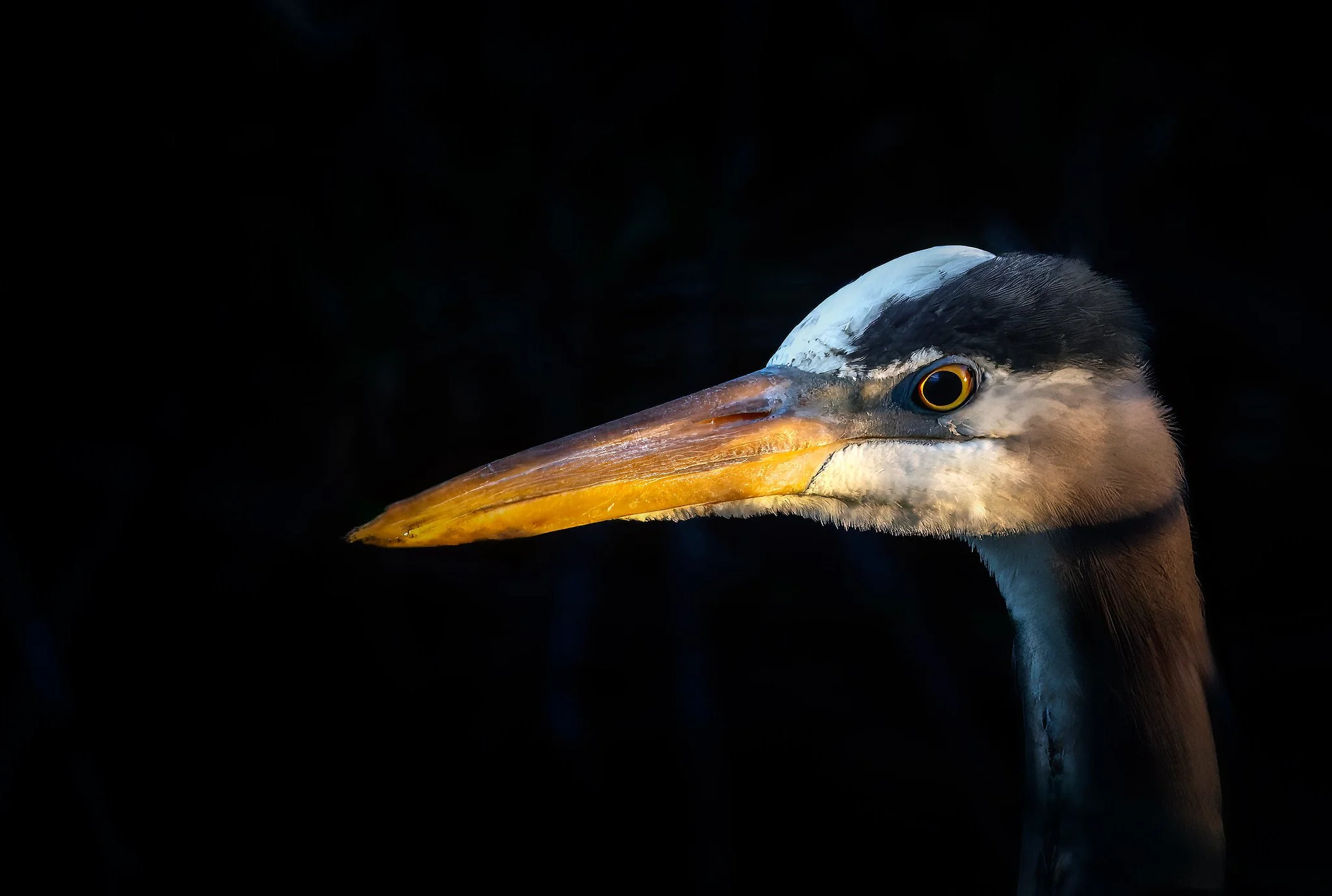 020A2734-DxO_DeepPRIME 3-Edit-Edit-Edit.jpg