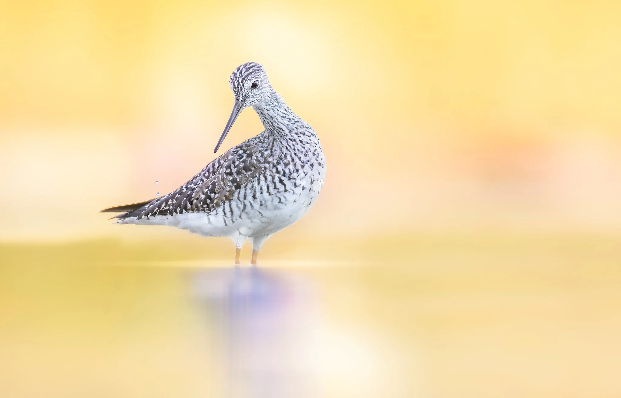 020A5979-DxO_DeepPRIME 3-Edit-Edit.jpg