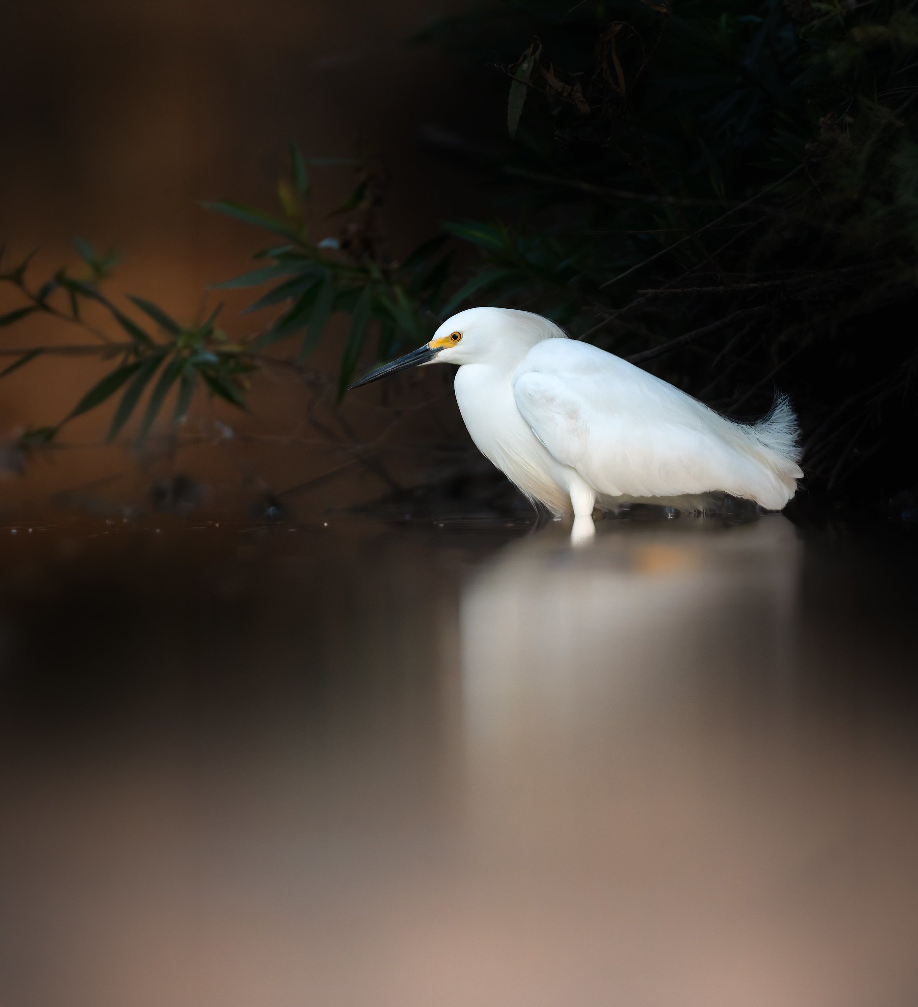 020A1399-DxO_DeepPRIME 3-Edit-Edit.jpg