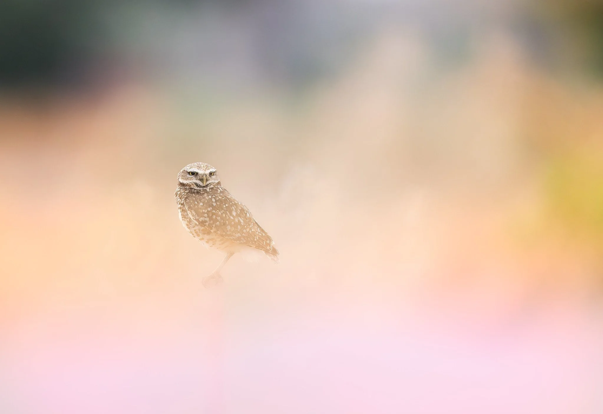 _P7A9769-061-Edit-Edit.jpg