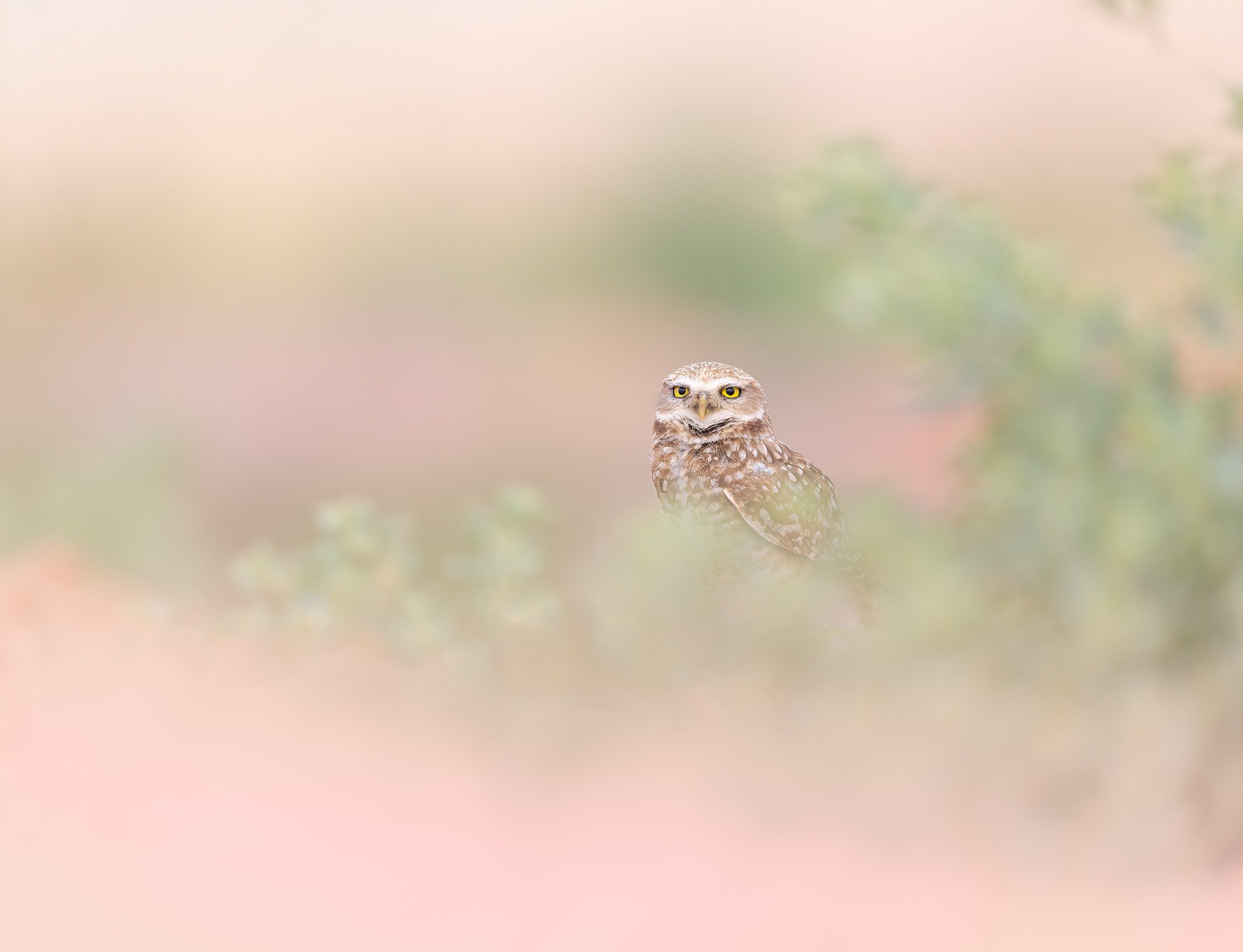 _P7A0360-075-Edit.jpg