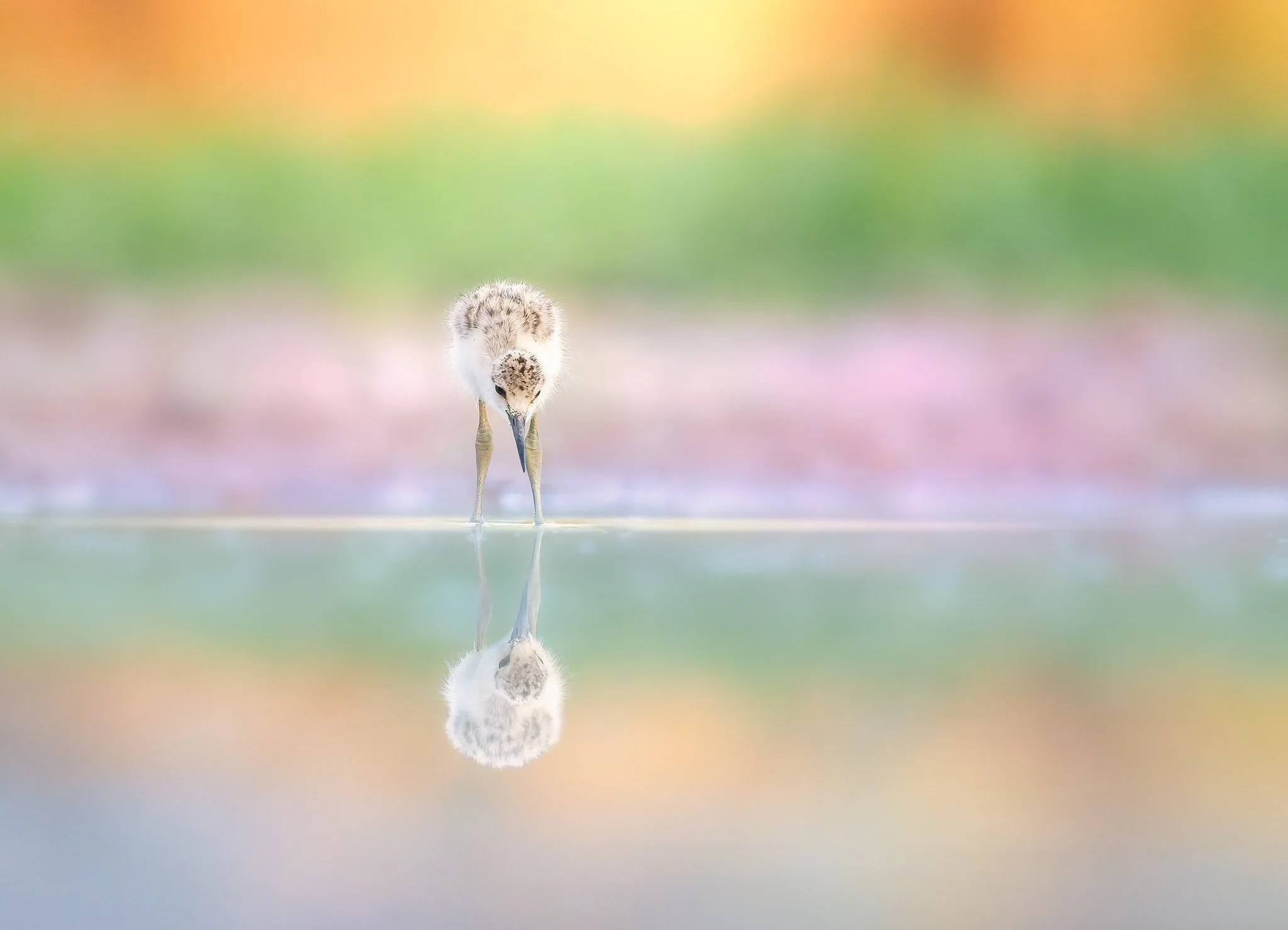 020A7407-018-Edit-Edit.jpg