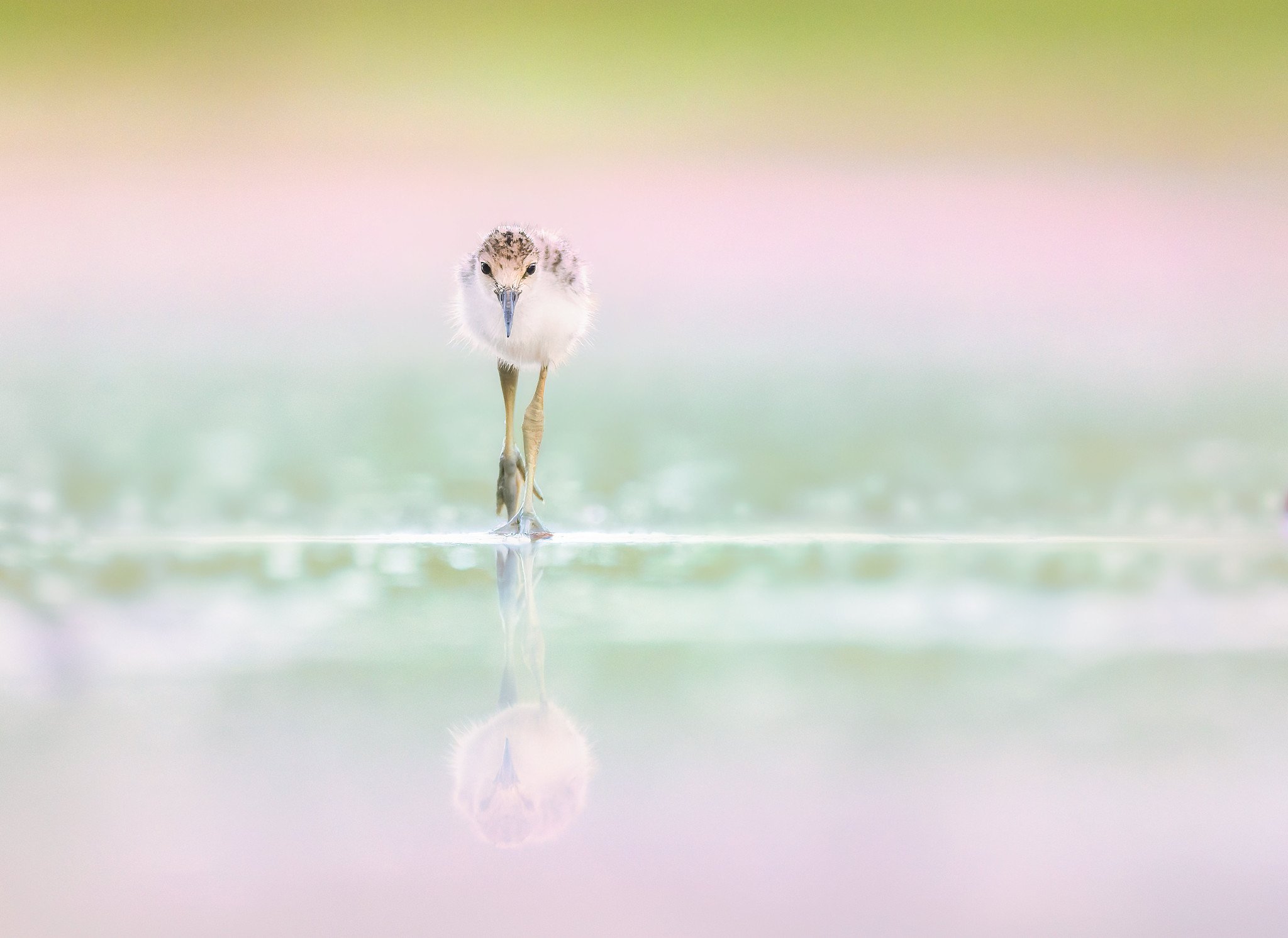020A6539-006-Edit-Edit.jpg