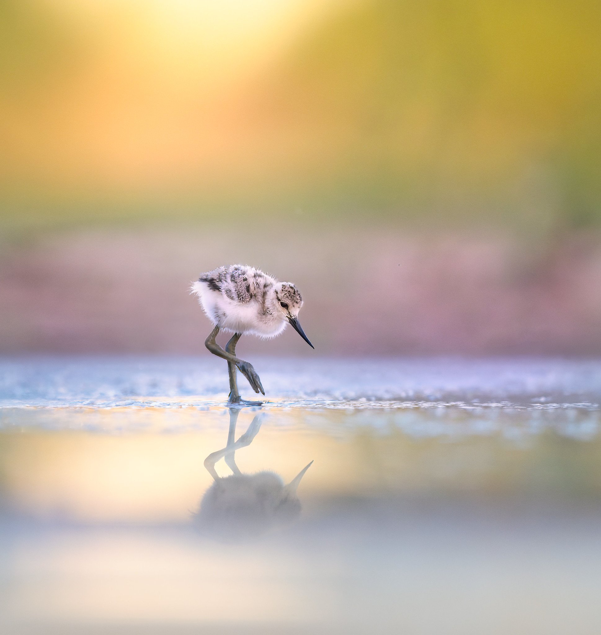 020A7230-011-Edit-2-Edit.jpg
