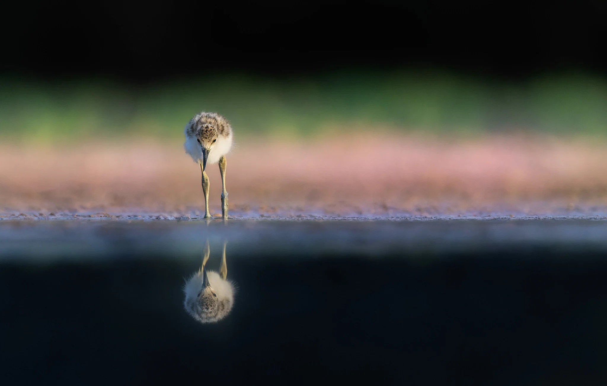 020A7801-035-Edit-Edit.jpg