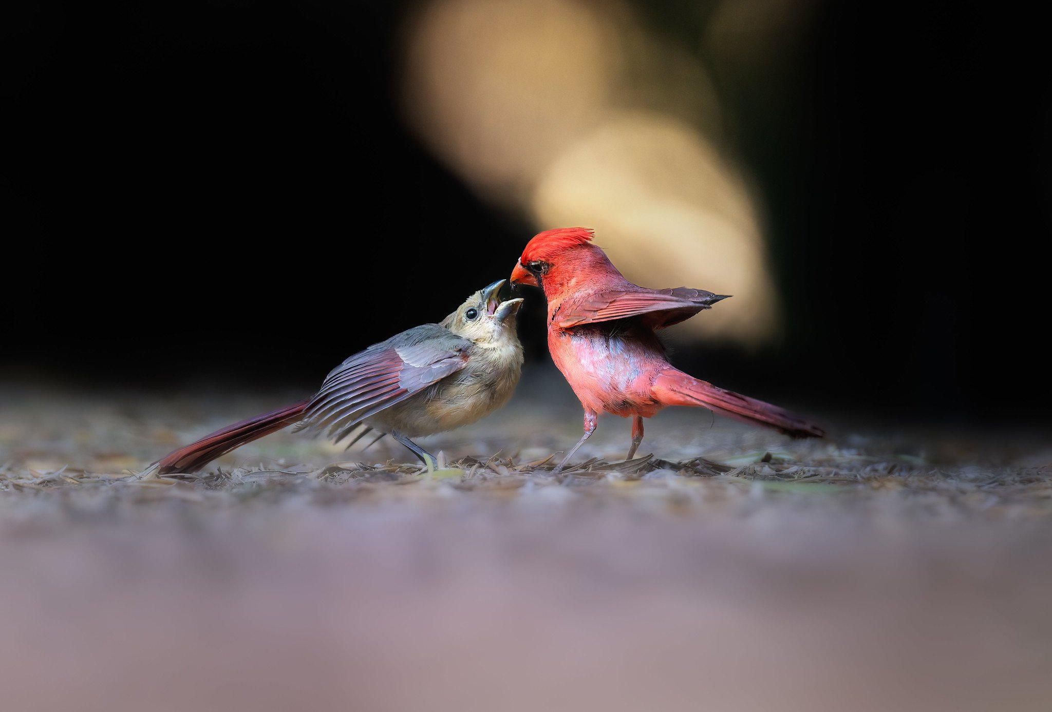 _P7A2702-021-Edit-Edit.jpg