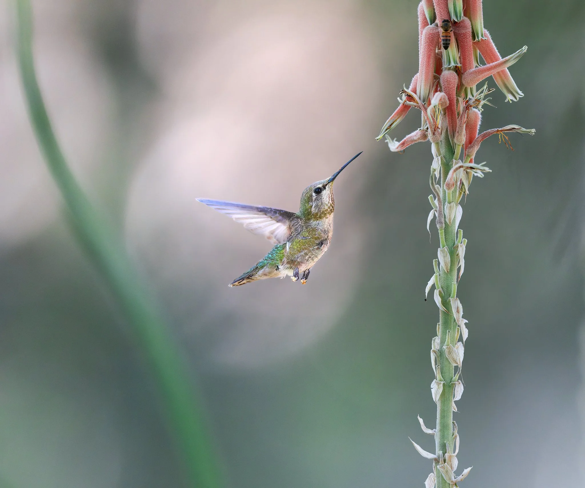 _P7A3717-067-Edit-Edit.jpg
