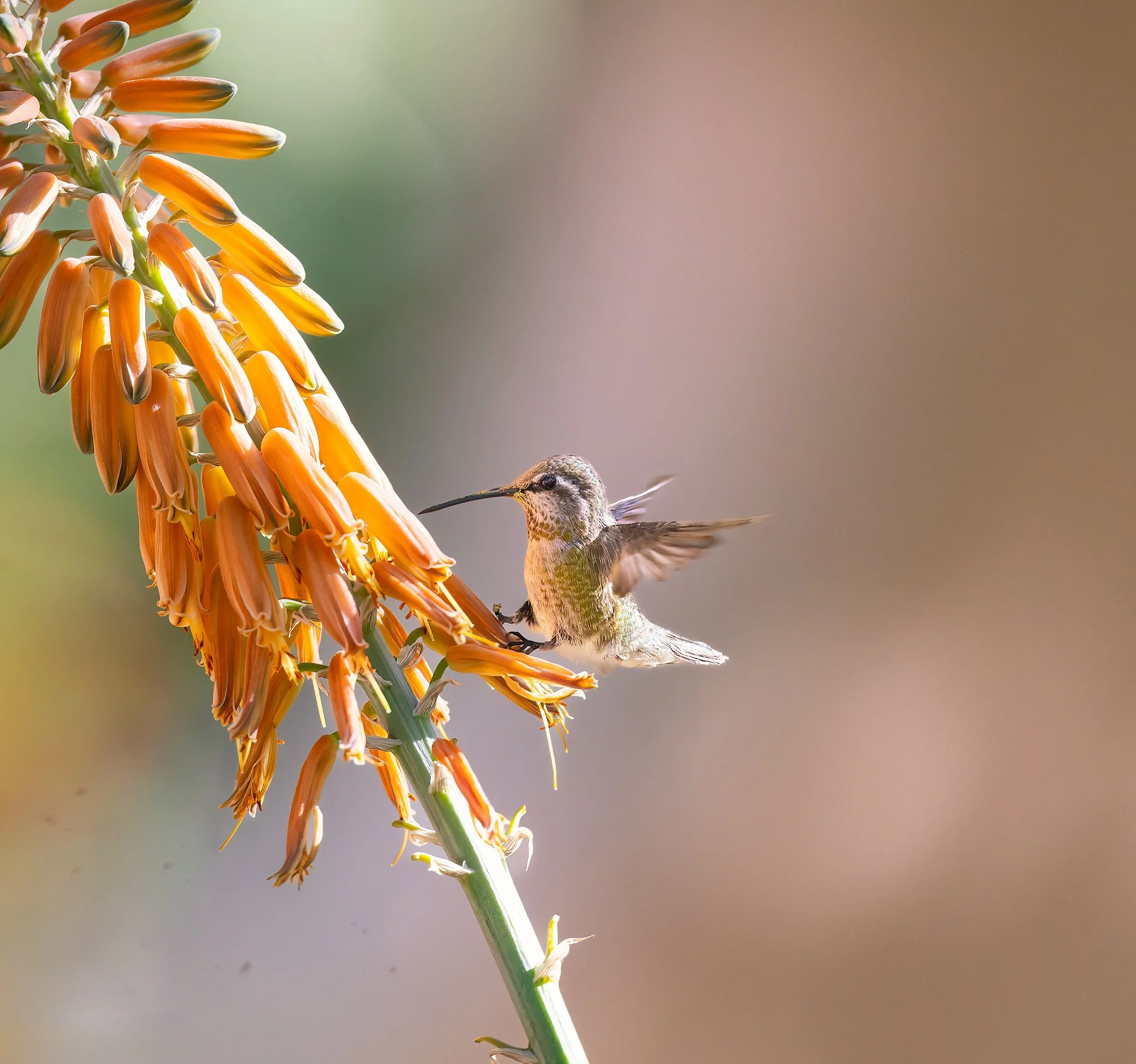 _P7A3255-042-Edit-Edit.jpg