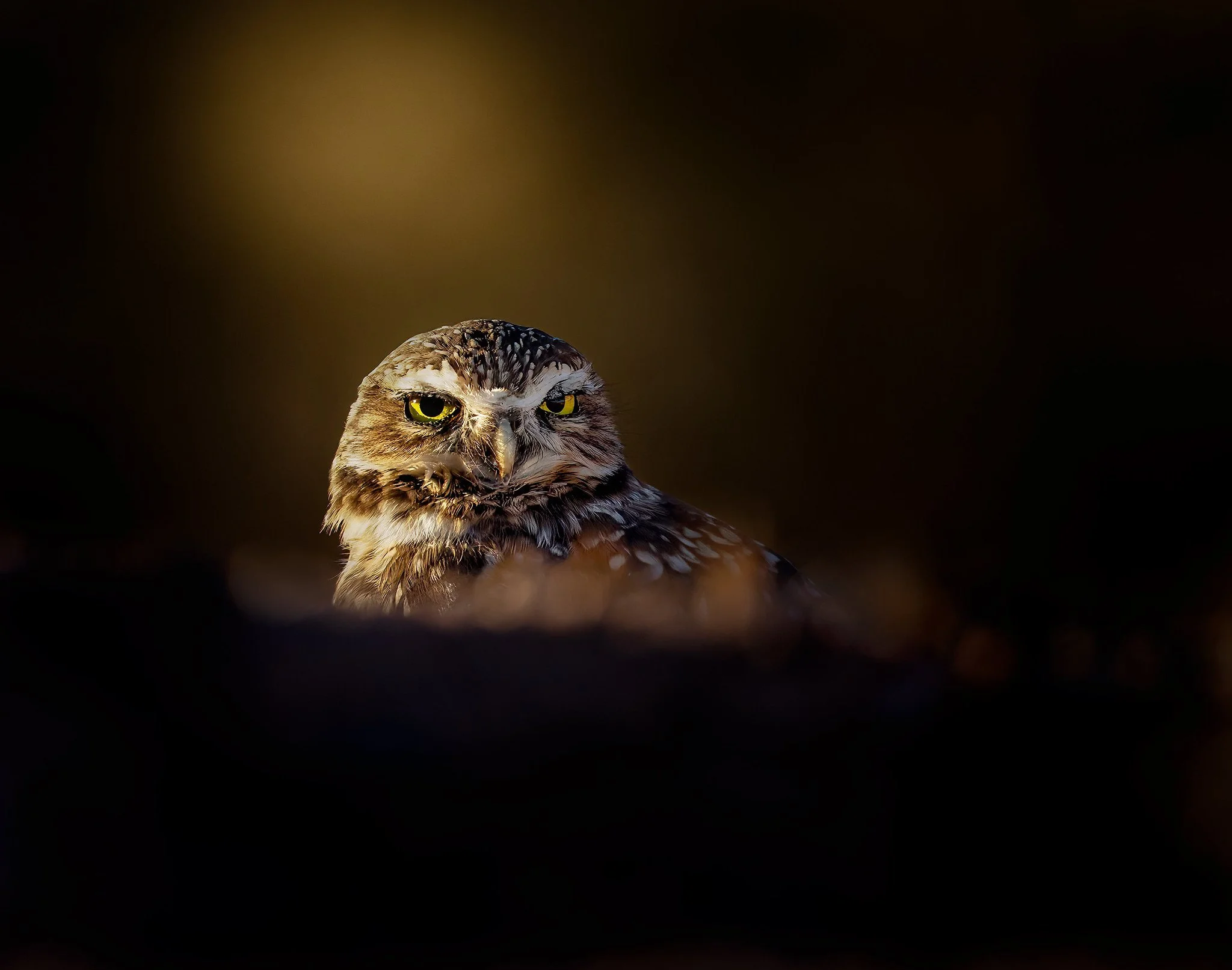 20260919-_P7A6738-Edit-Edit-Edit.jpg