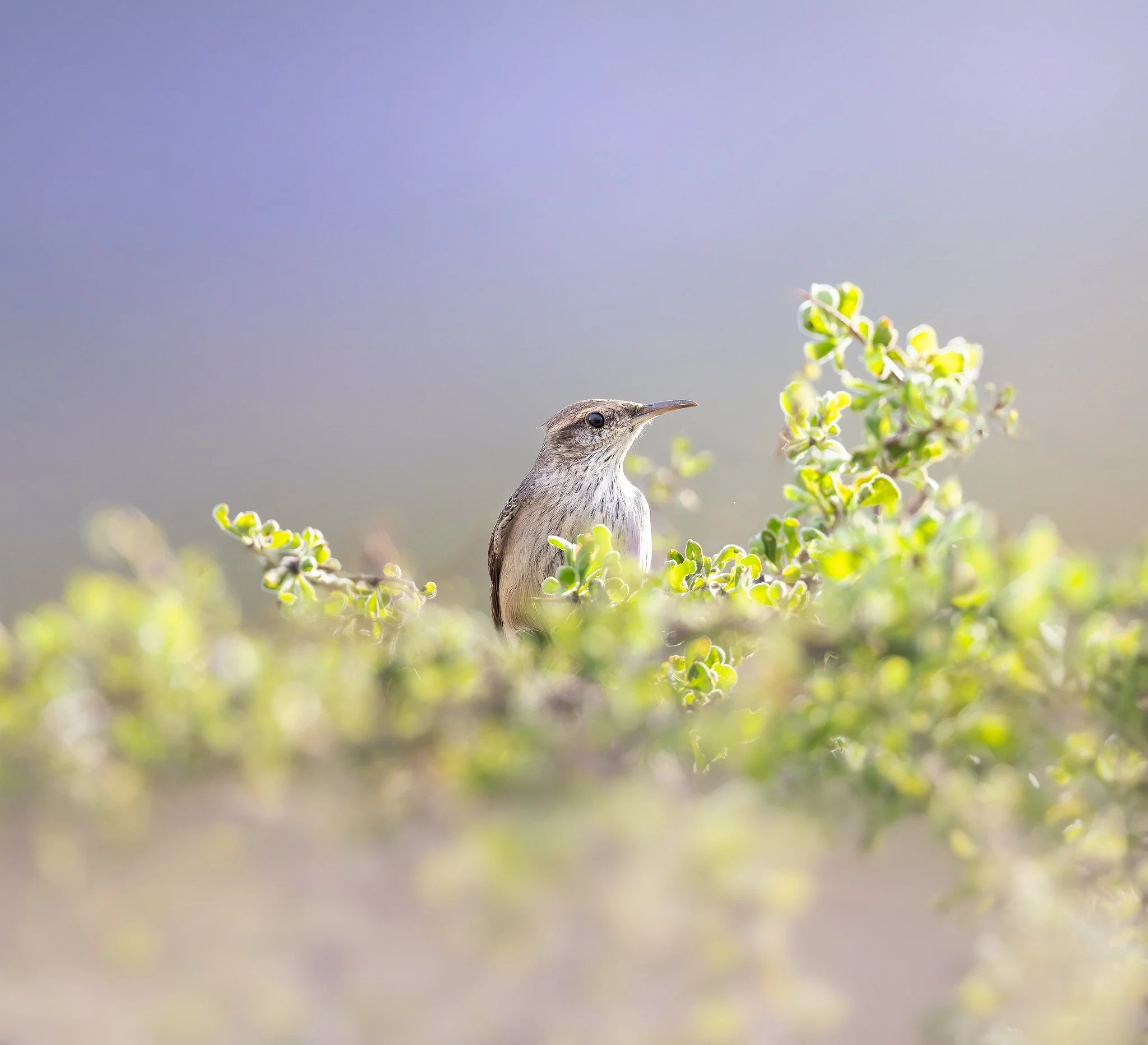 20260927-_P7A8247-Edit-Edit.jpg