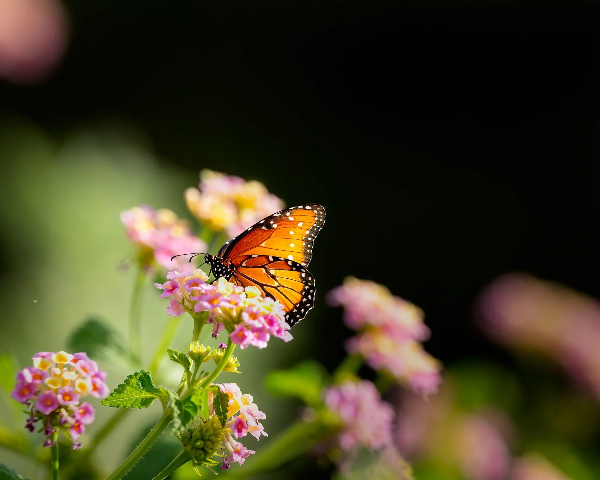 20261010-_CW_7401-Edit.jpg