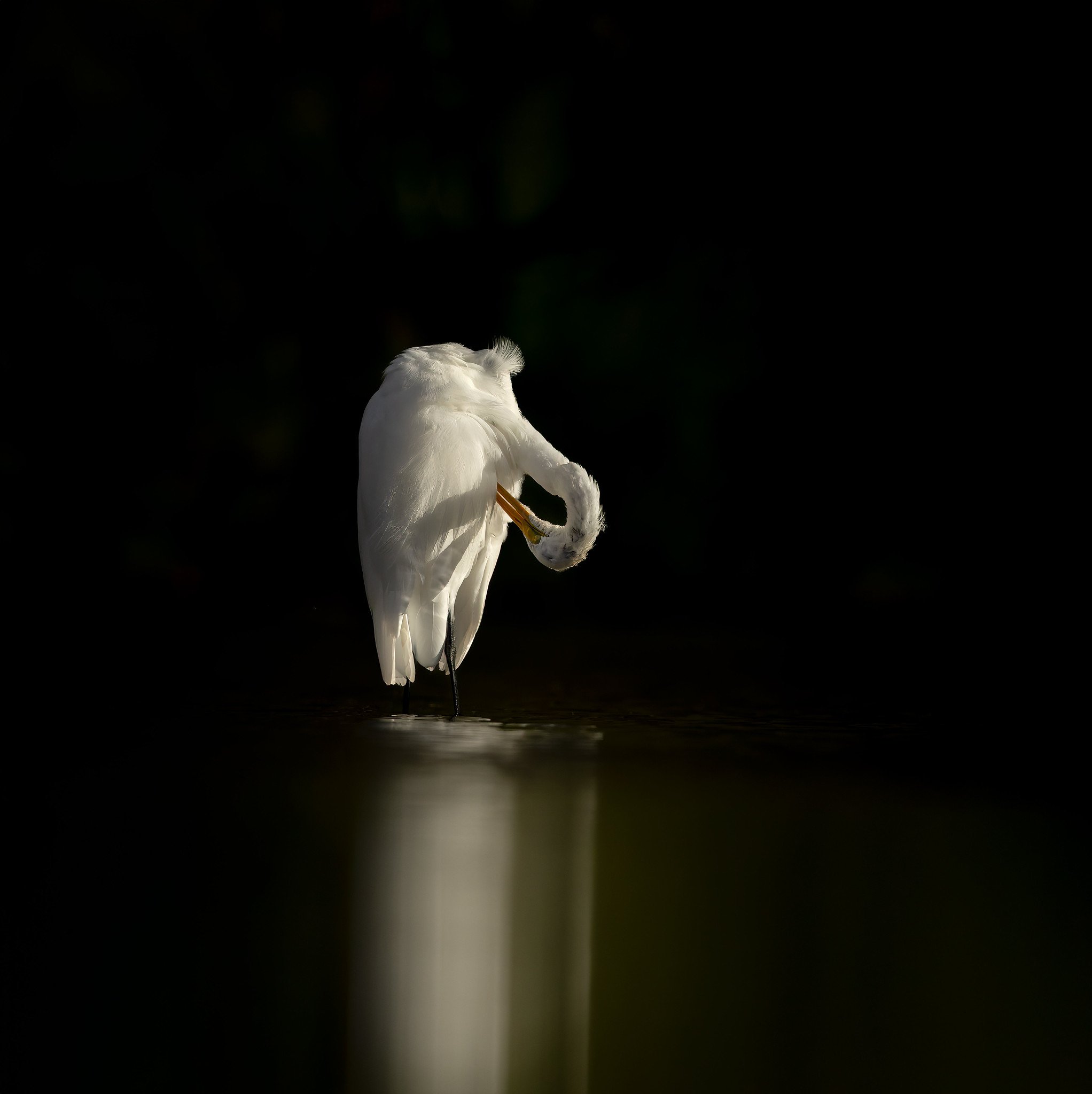 20261011-020A7588-Edit-Edit.jpg