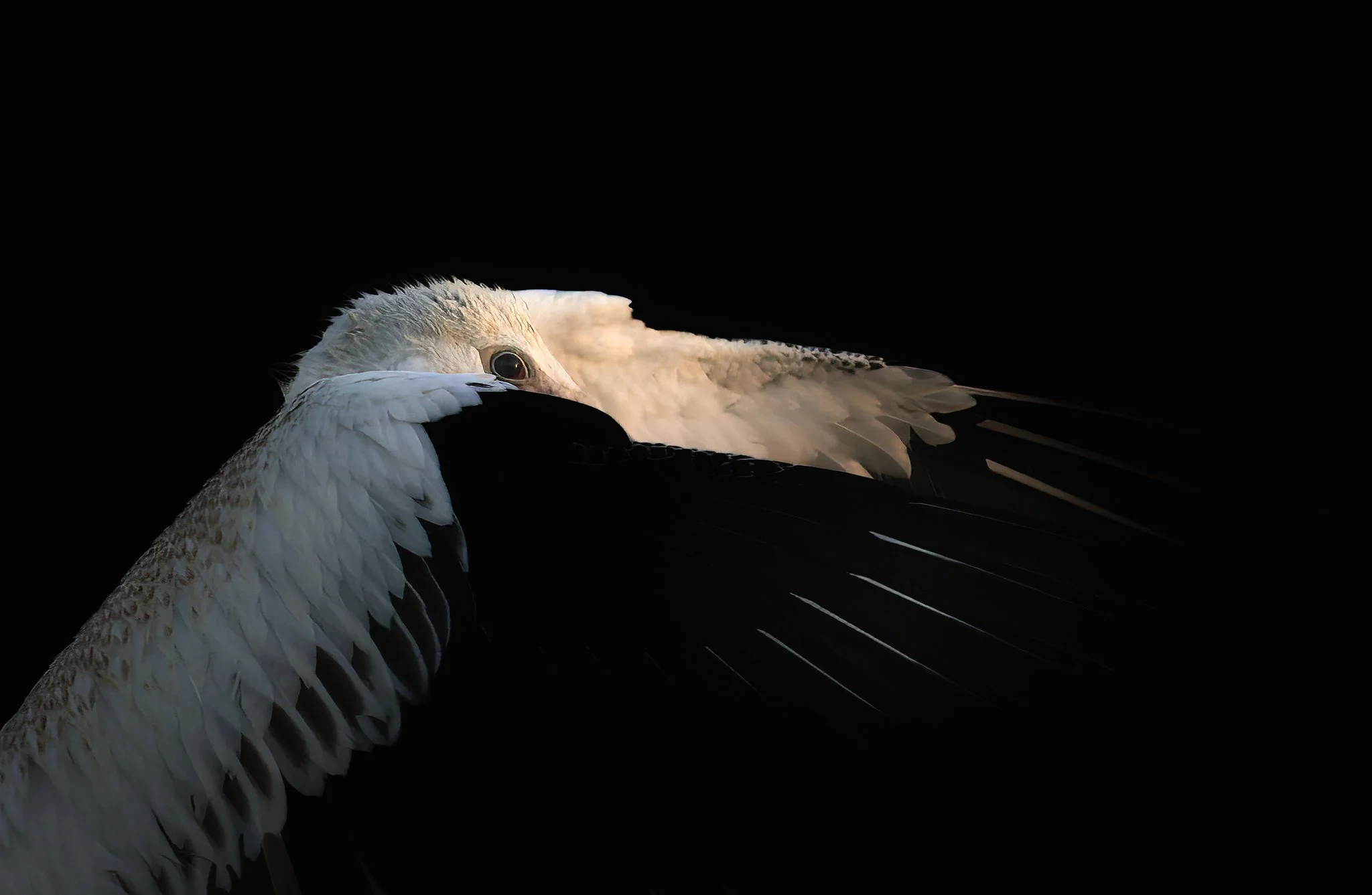 20261024-_CW_8128-Edit-Edit-Edit-Edit.jpg