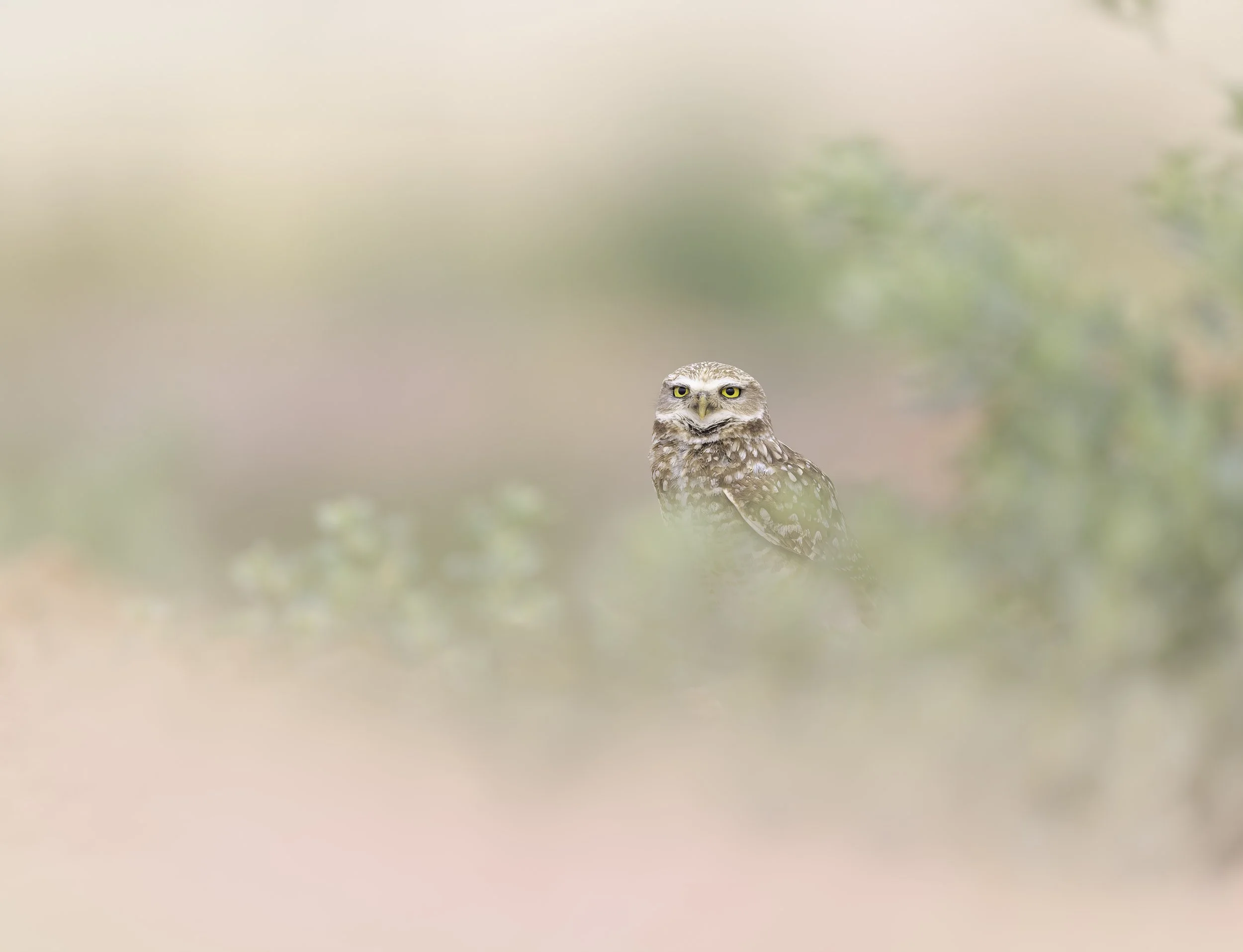_P7A0360-075-Edit.jpg