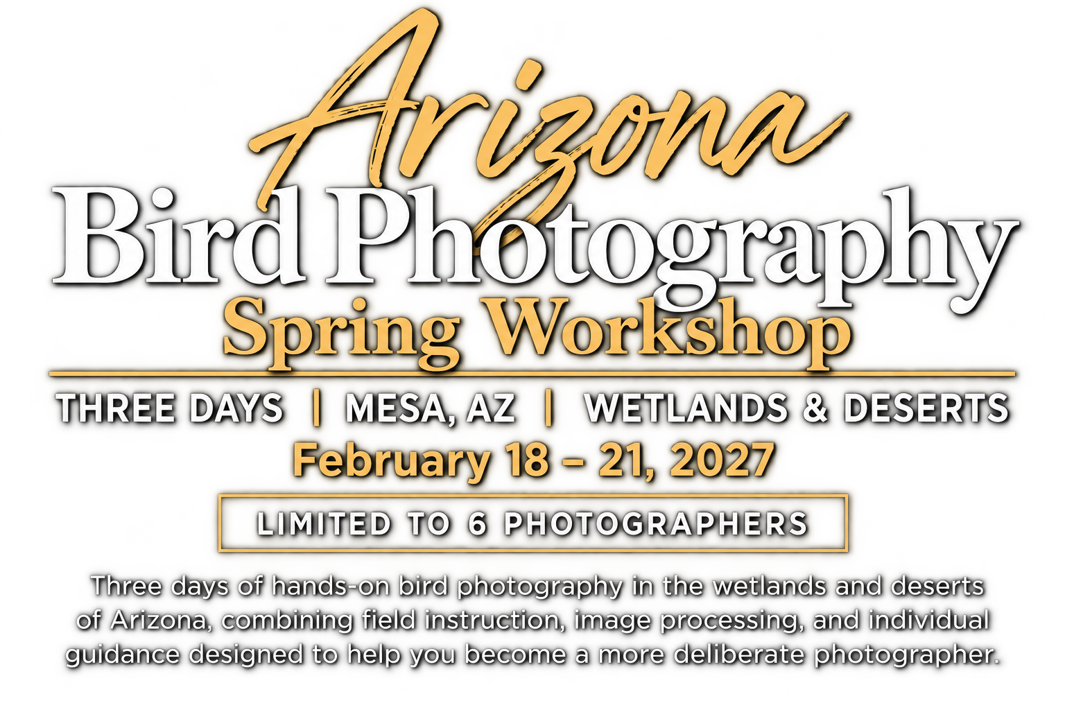 Arizona Bird Photography Workshop