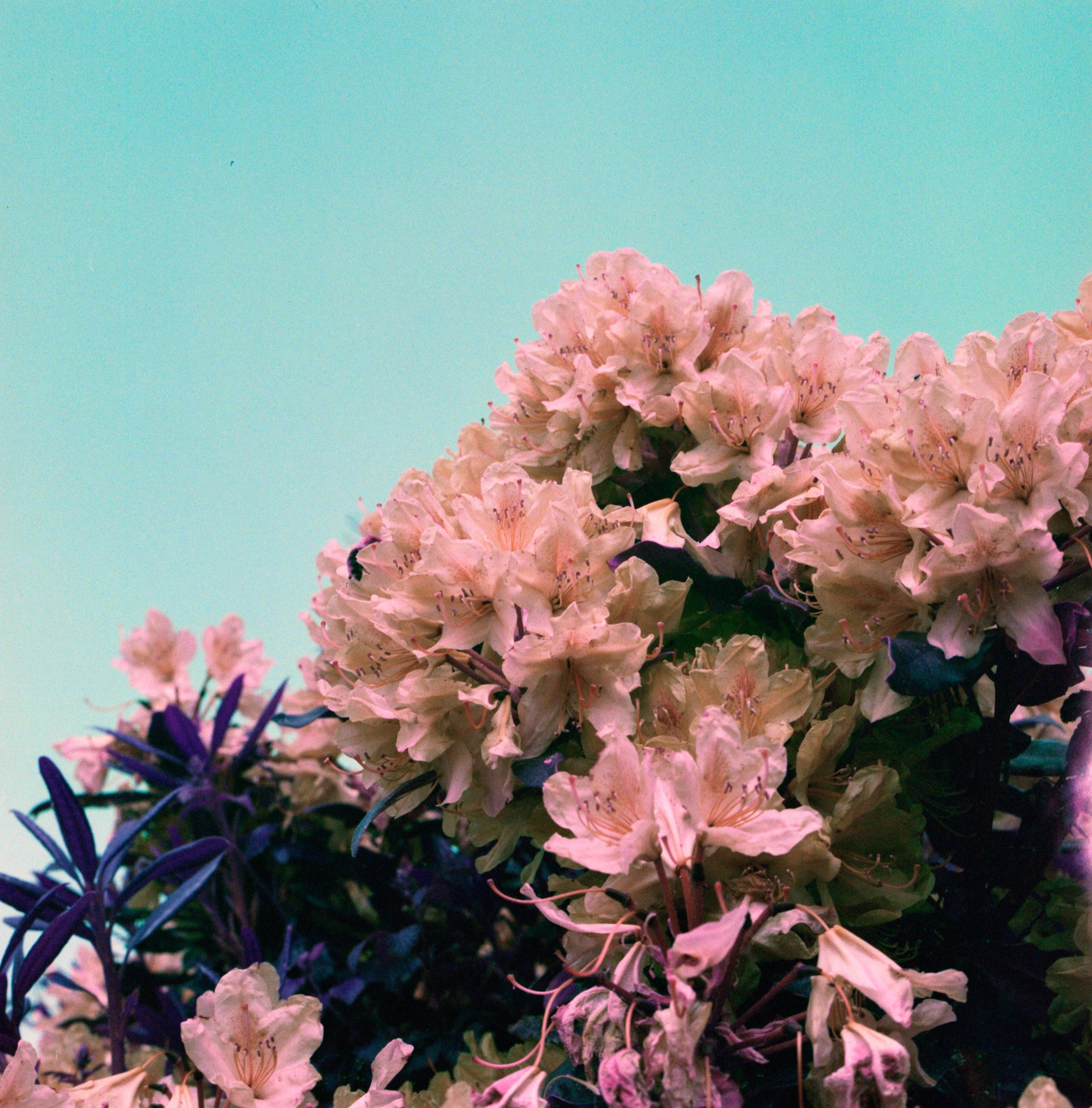 Untitled (8).jpeg