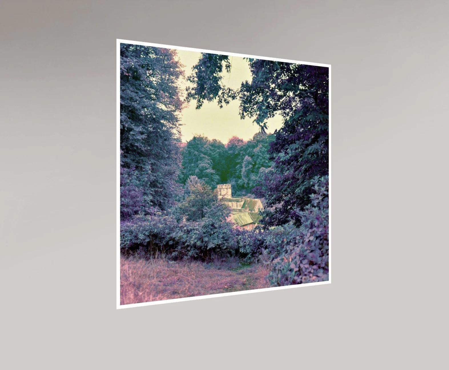 Print of a Church Framed by Trees and hedges