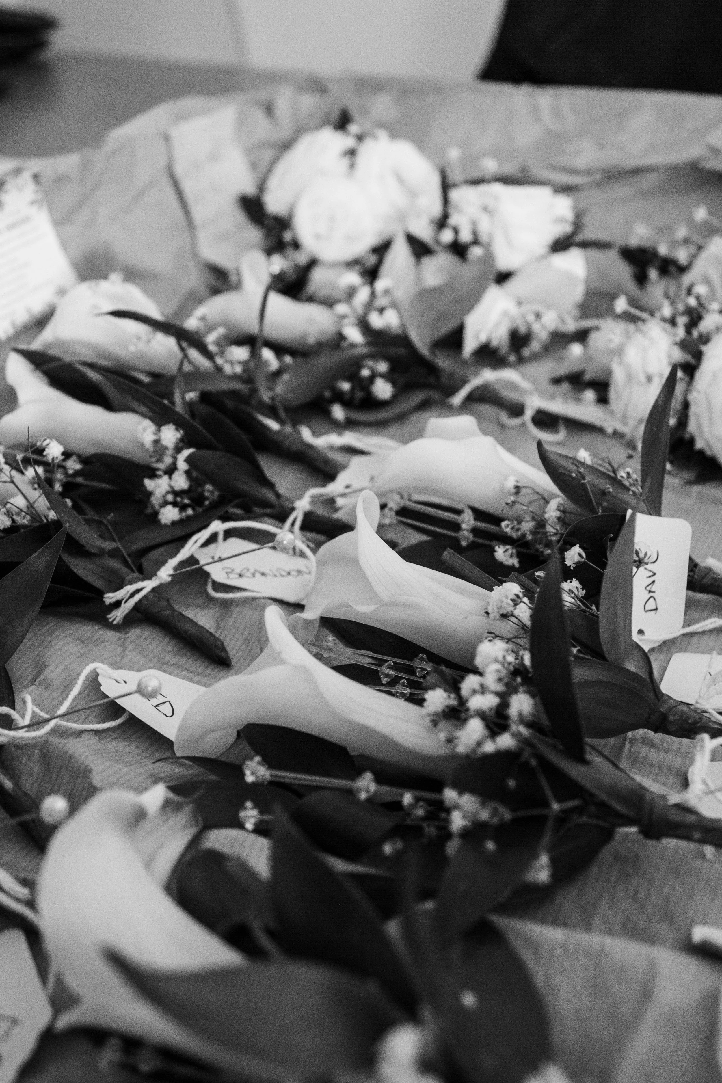 _MG_6377.jpg