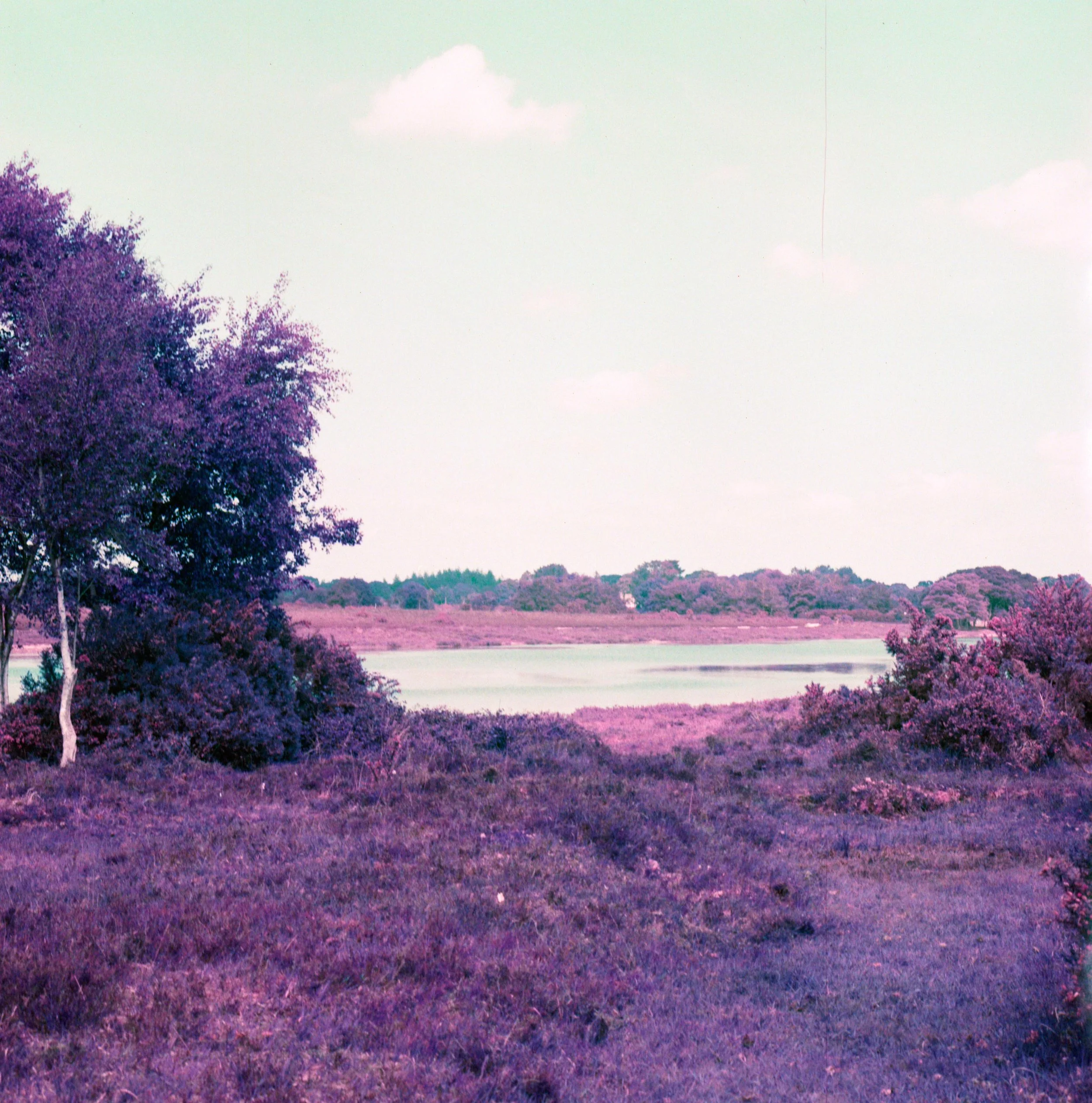 Untitled (3).jpeg