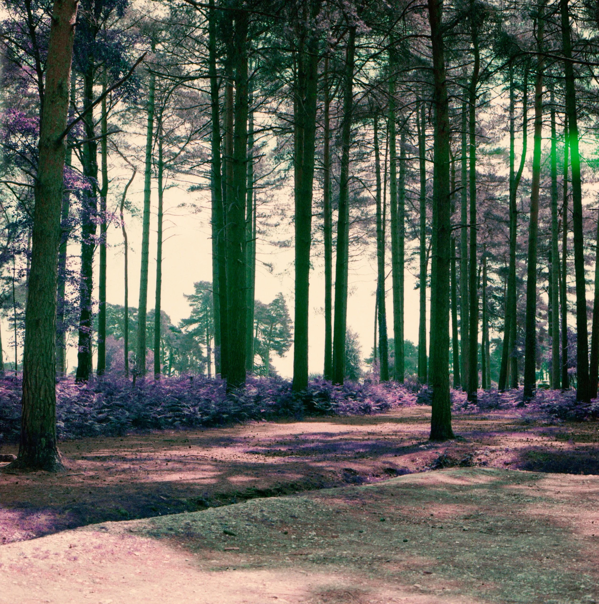 Untitled (9).jpeg