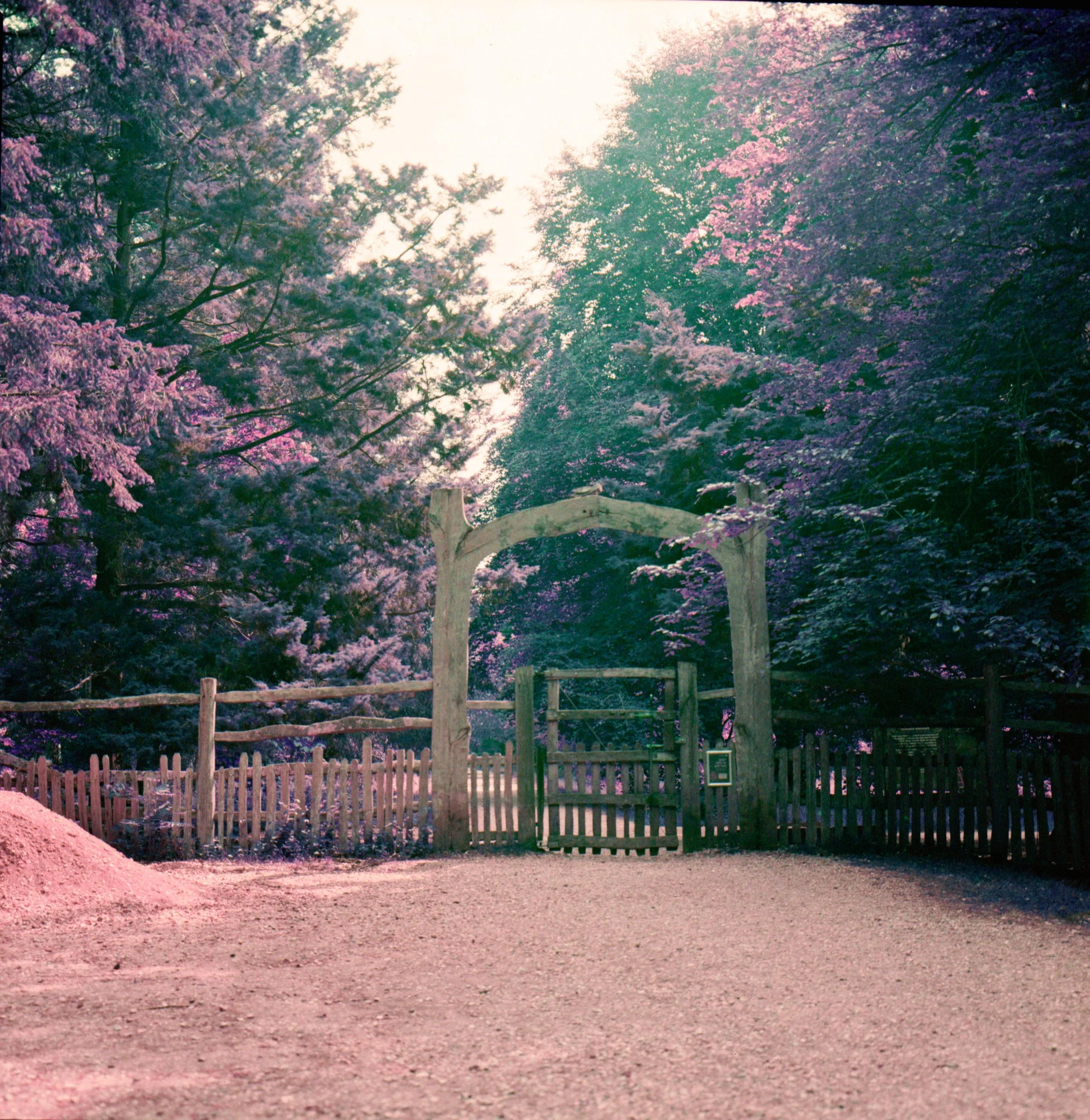 Untitled (8).jpeg