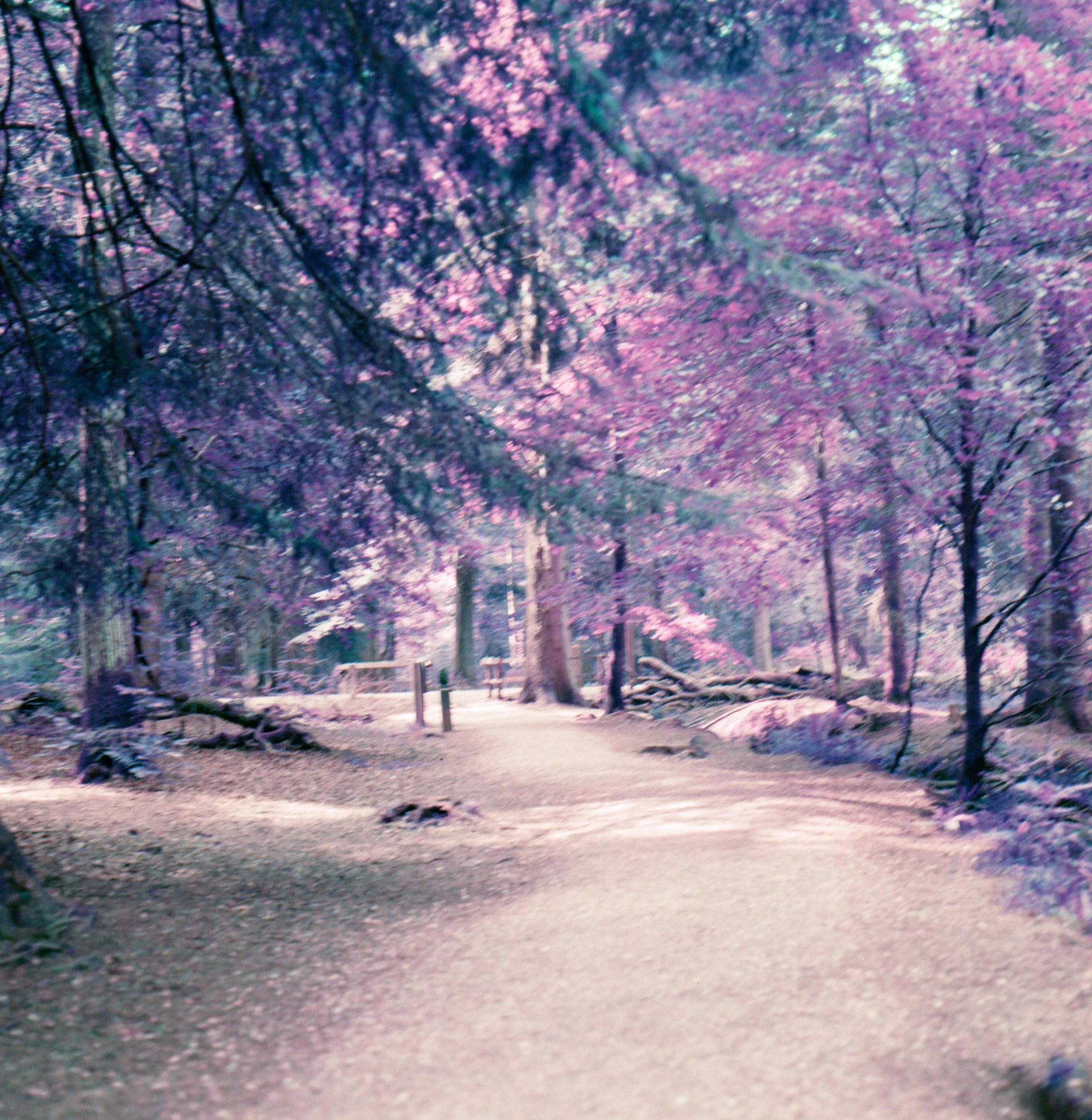 Untitled (4).jpeg