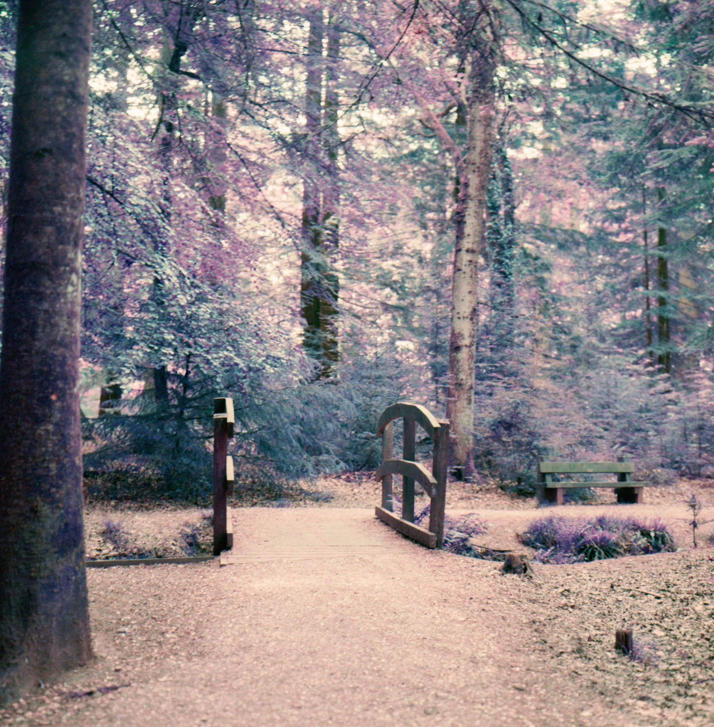 Untitled (5).jpeg