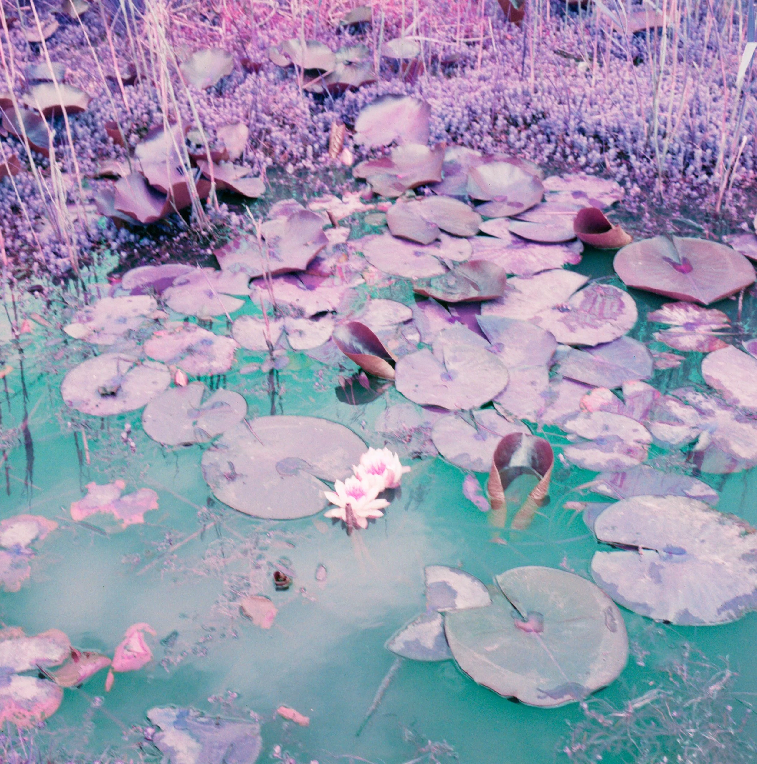 Untitled (2).jpeg