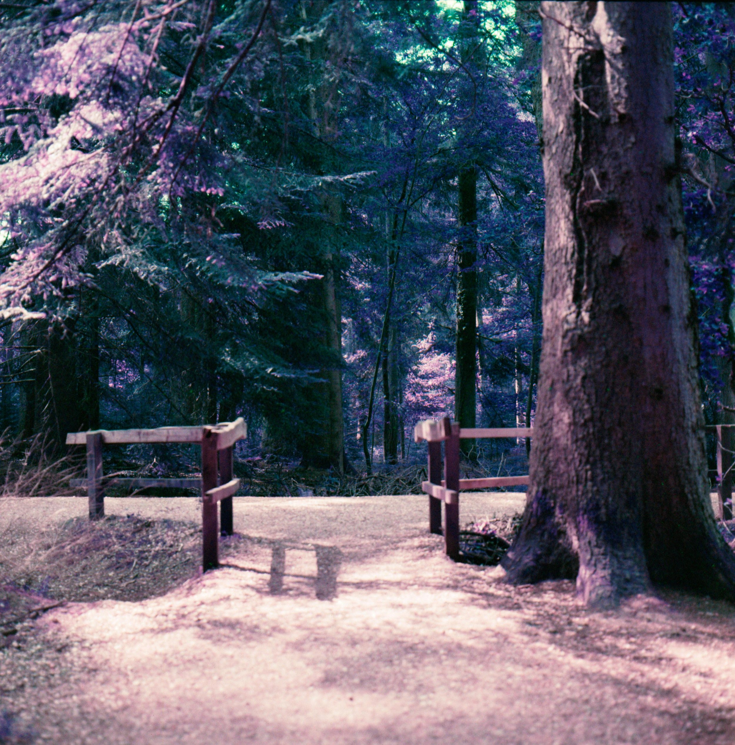 Untitled (7).jpeg