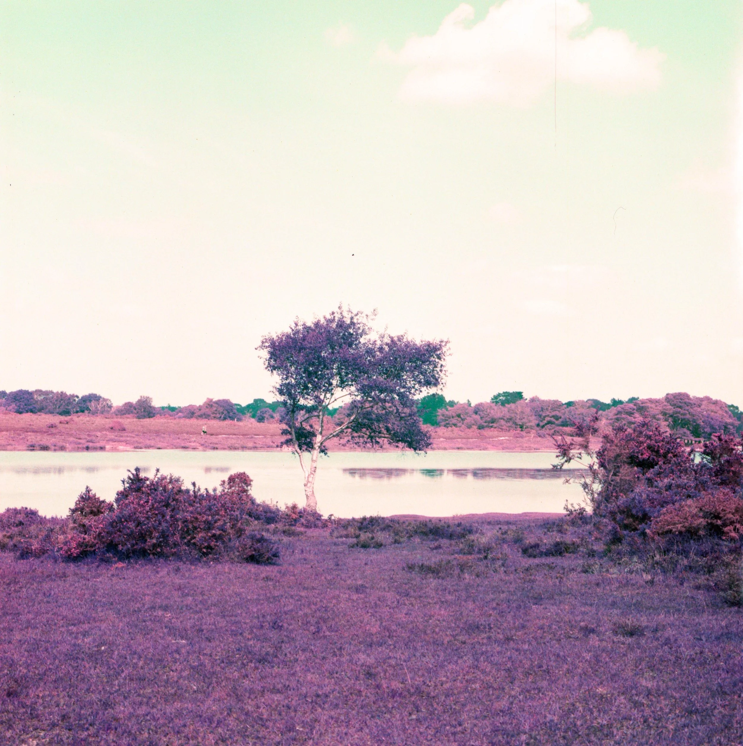Untitled (4).jpeg