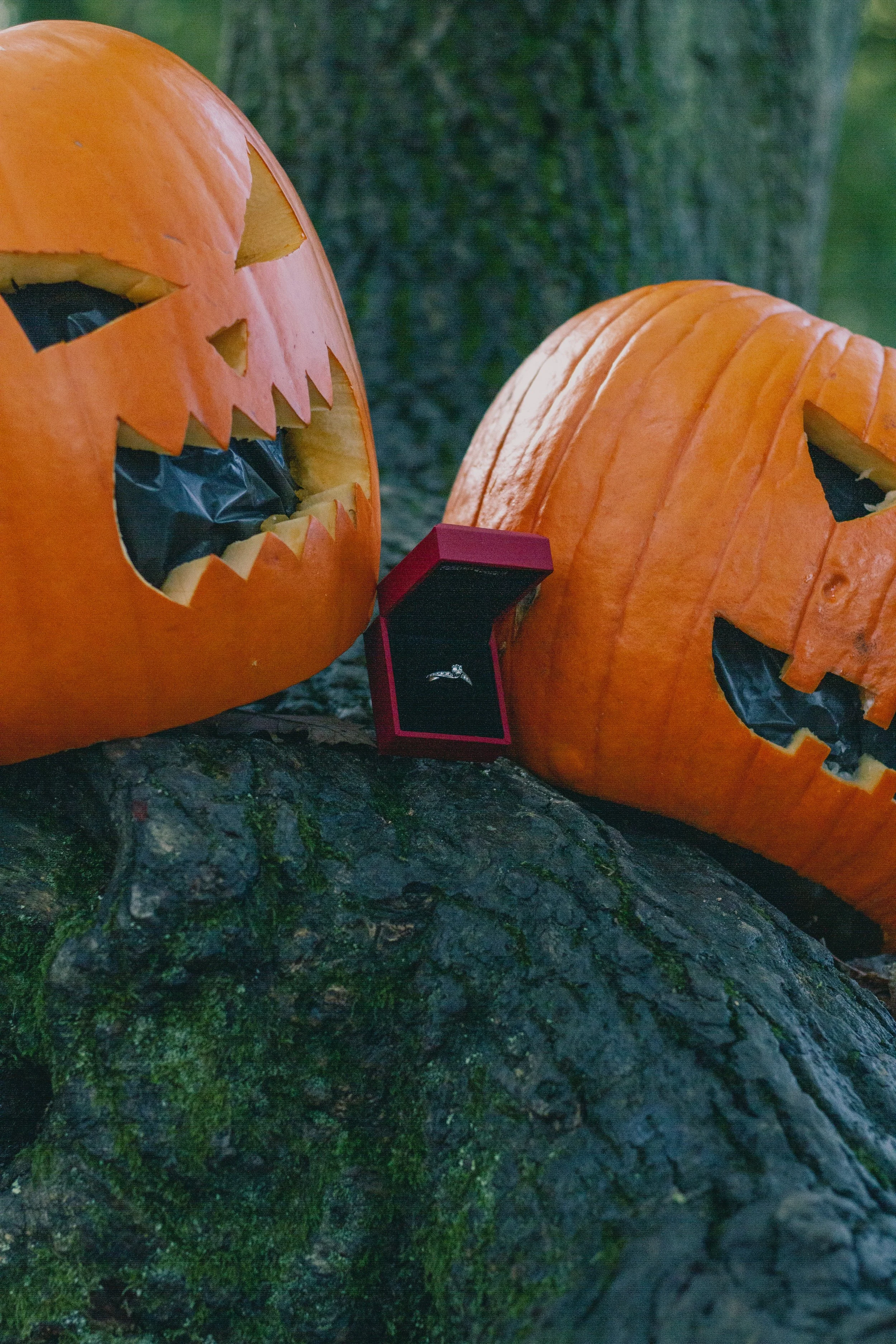 Charlie and Bethany's Proposal 