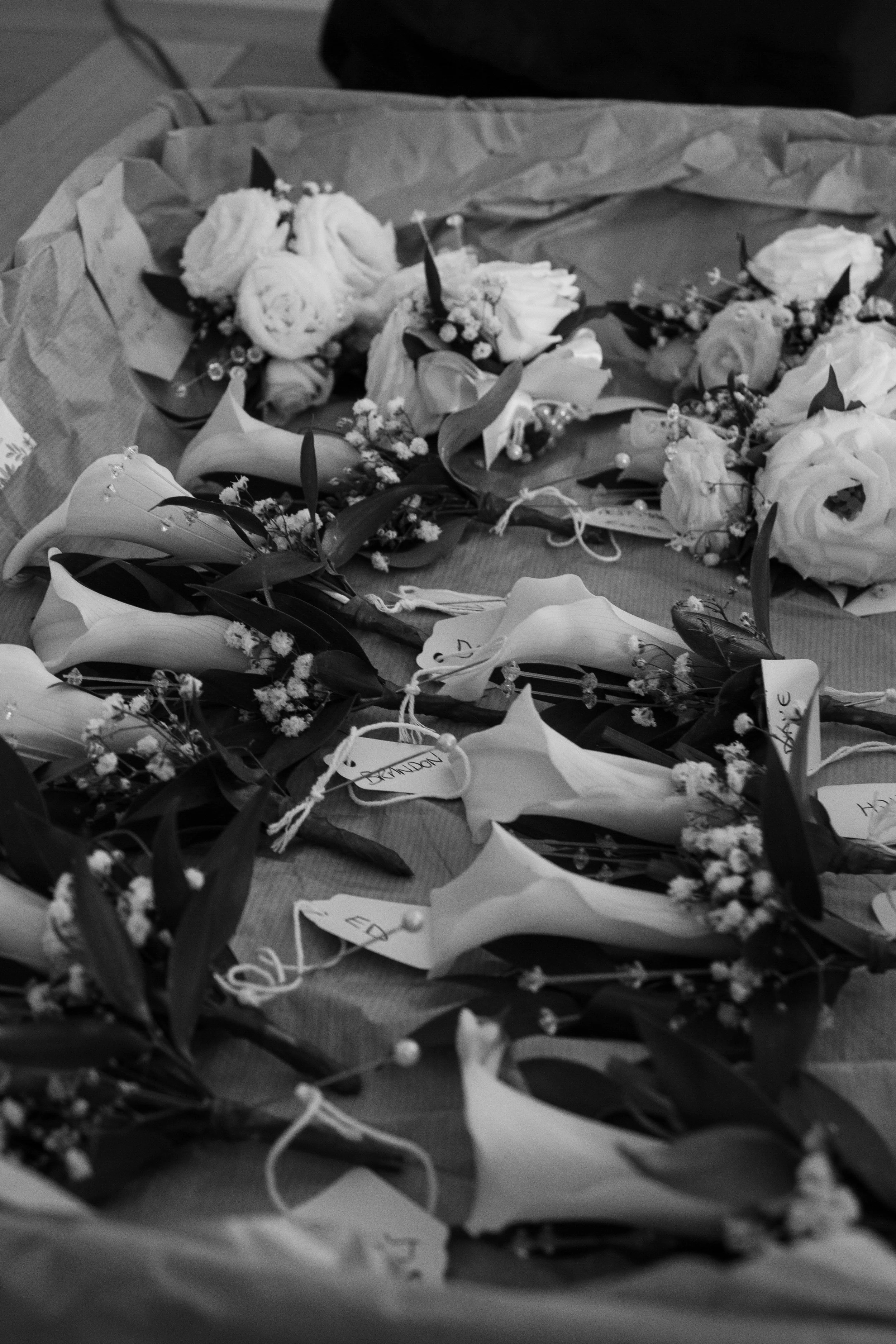 _MG_6375.jpg