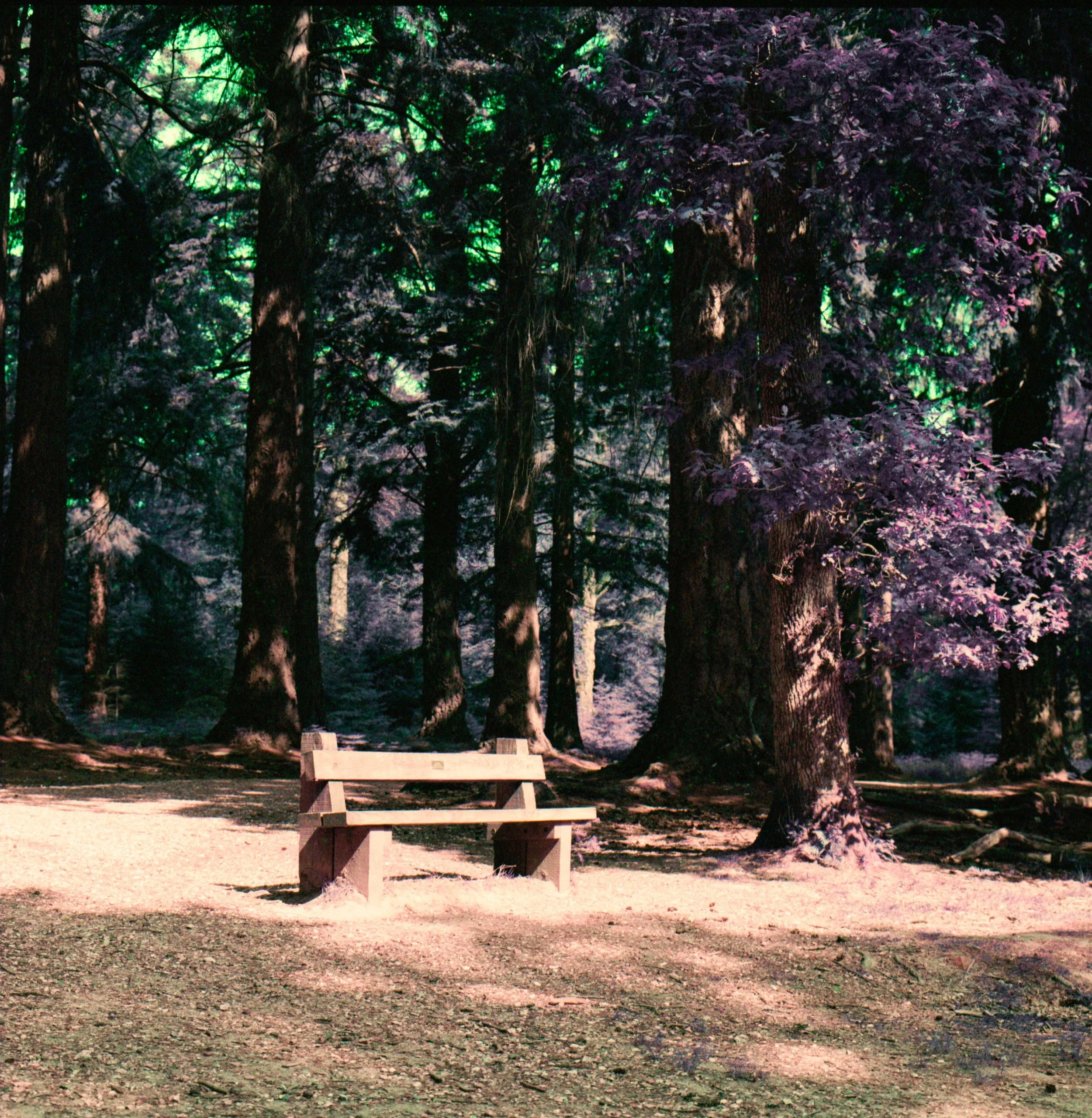 Untitled (2).jpeg