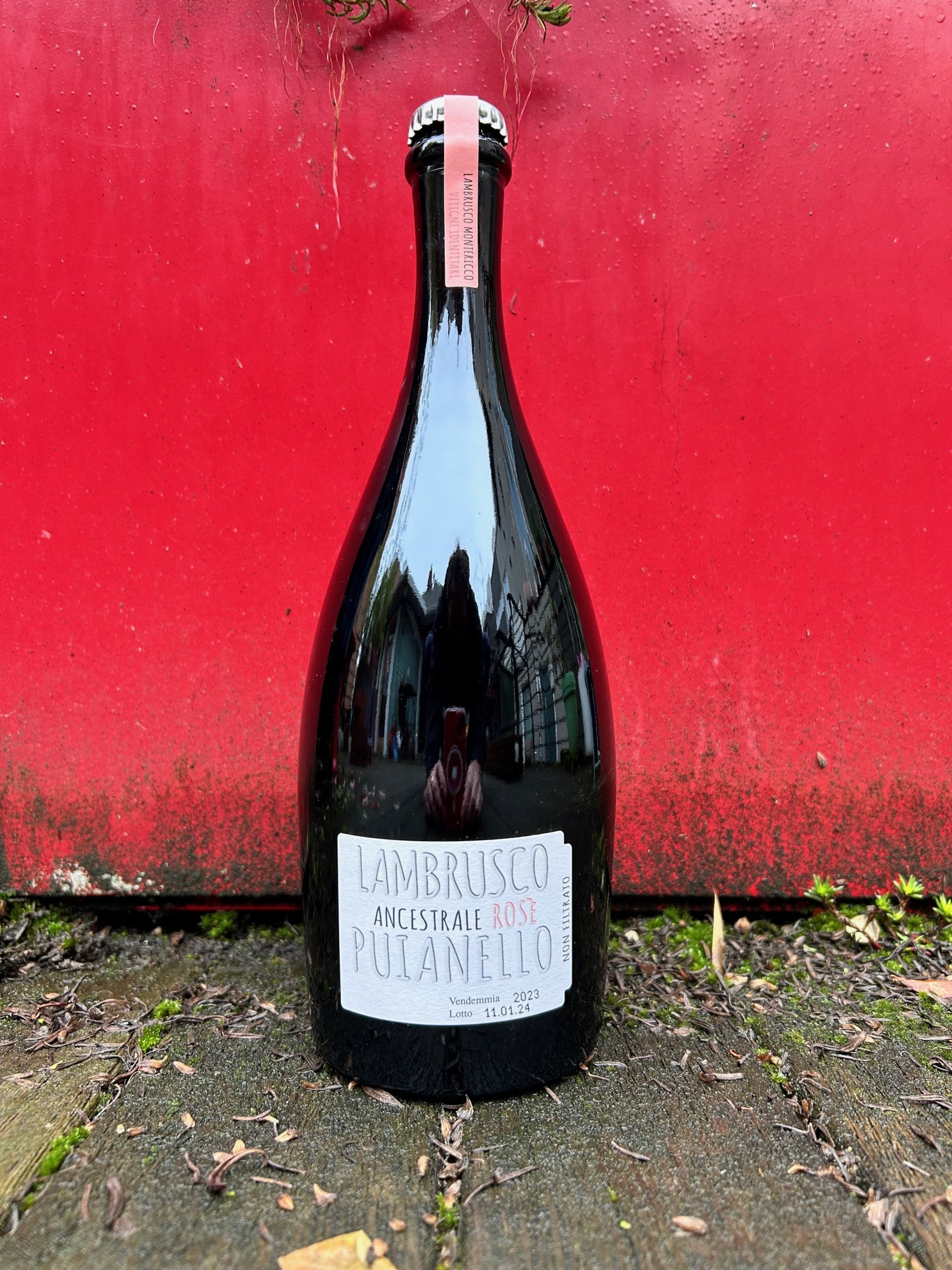 Cantina Puianello Lambrusco Ancestrale Rosé