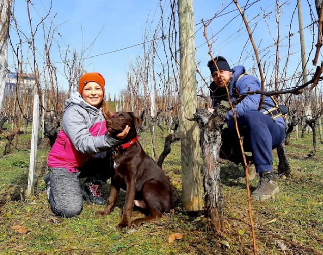 Screenshot 2026-01-26 181031.png