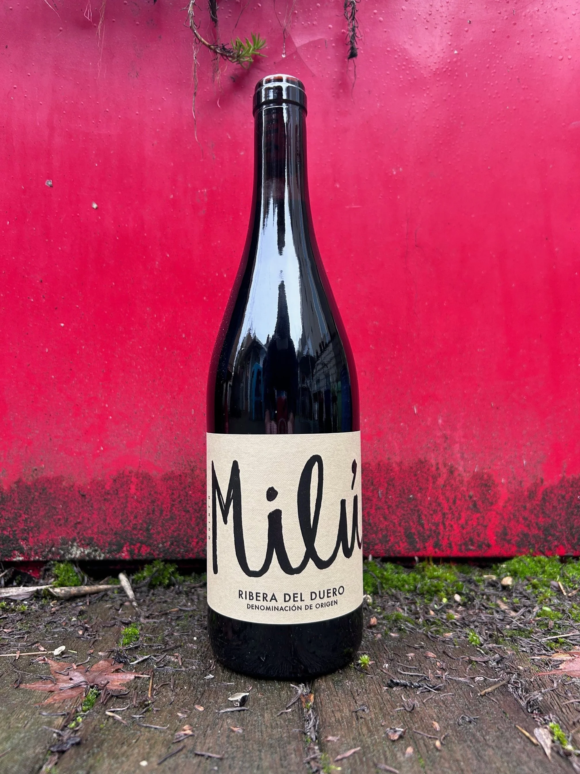 Blanco QuintA Milu.jpg