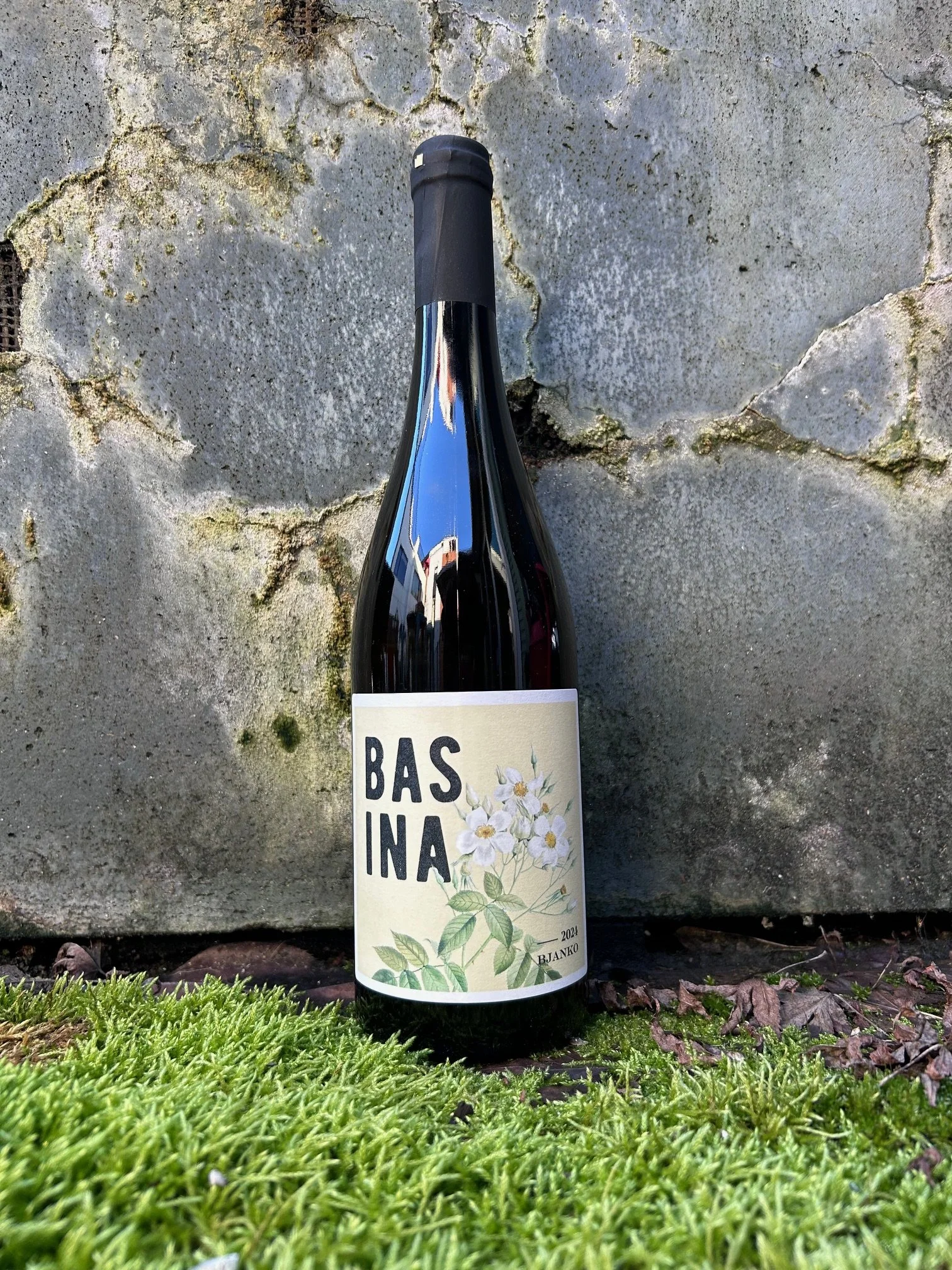 Bura-Mrgudić 'Basina Bjanko'