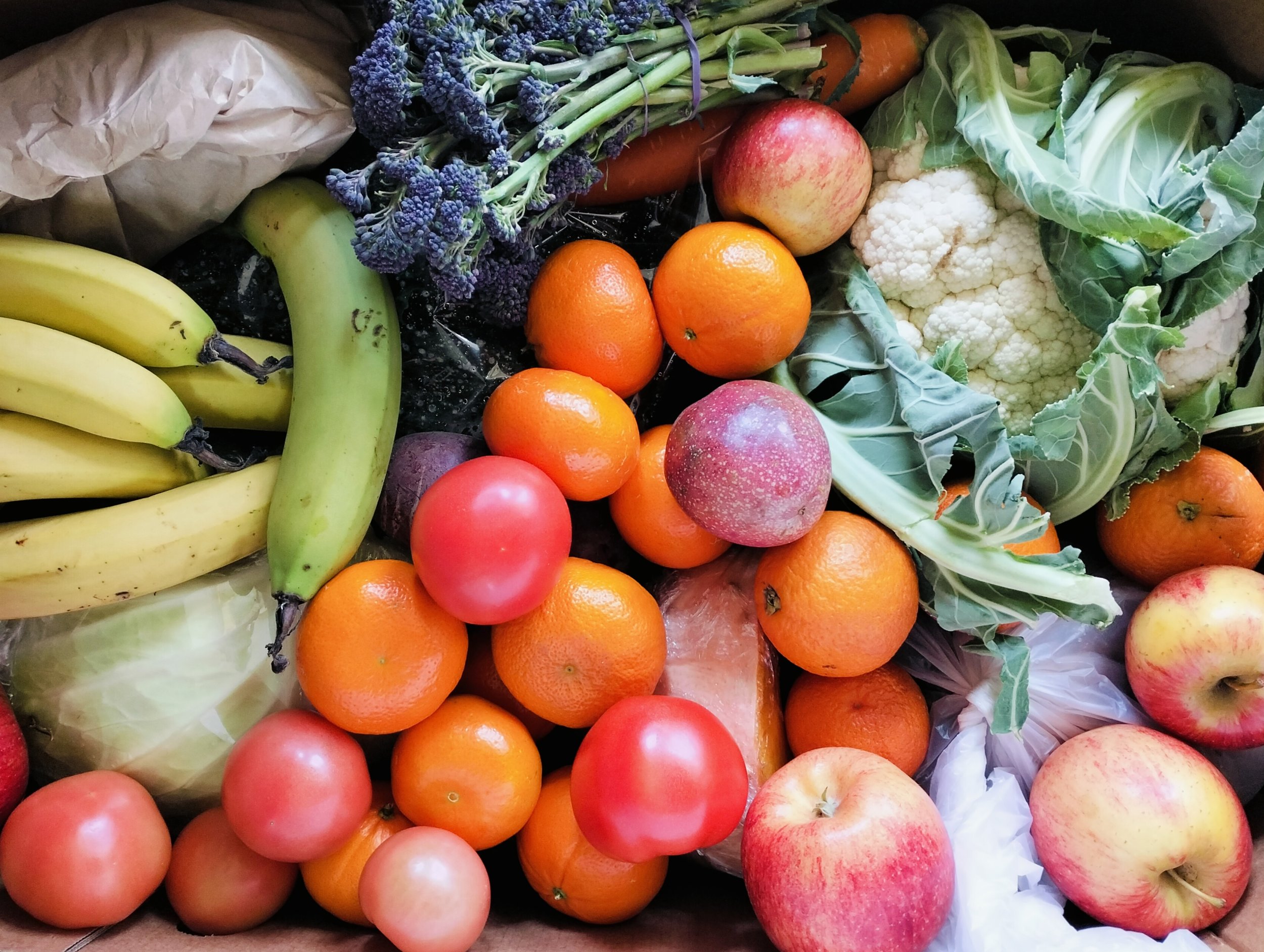 The Morning Harvest