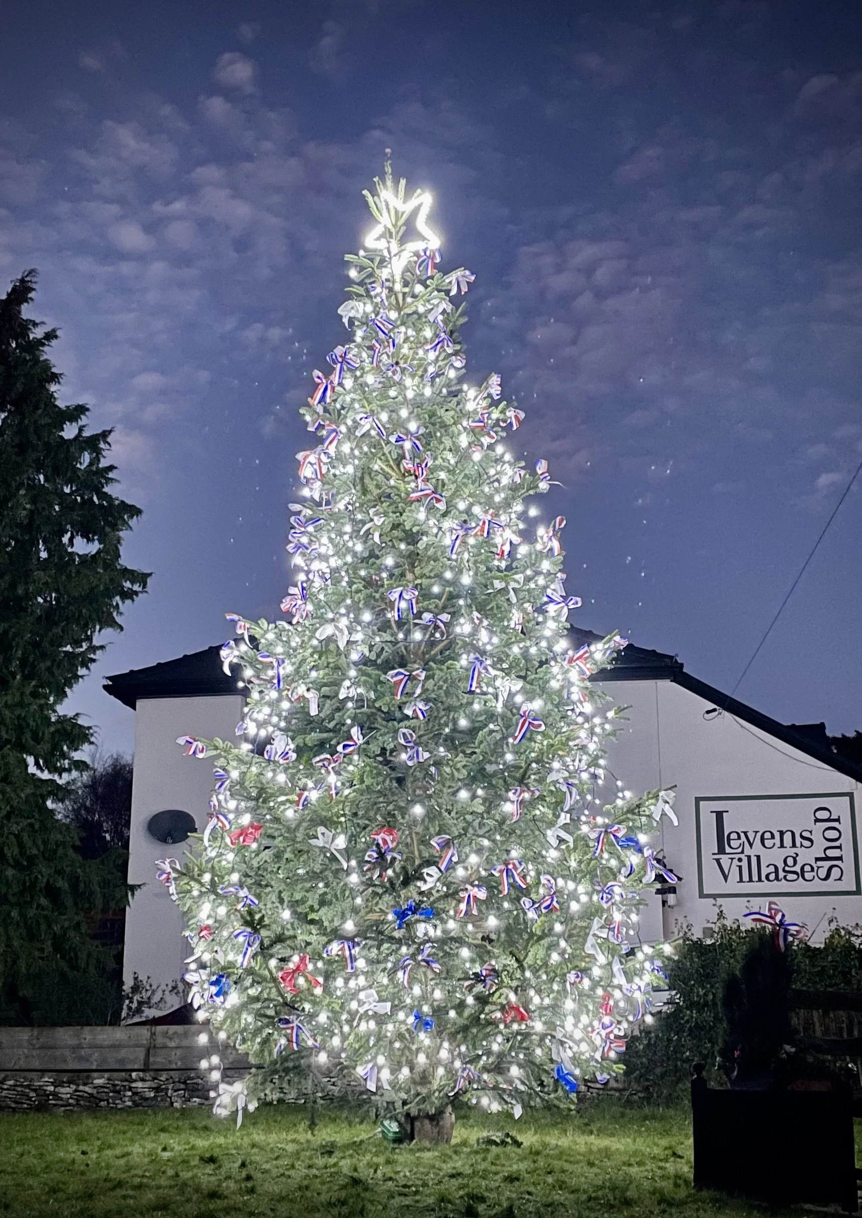 Village Christmas tree decorated to commemorate Queen Elizabeth II ...