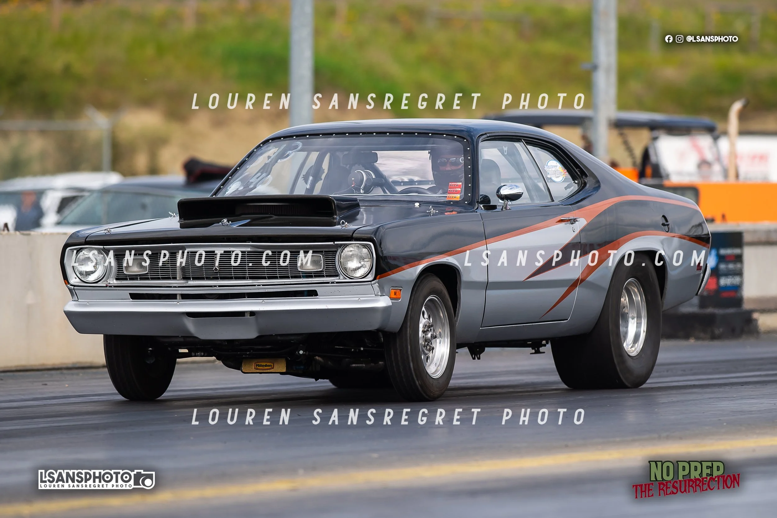 LS4_4138.jpg