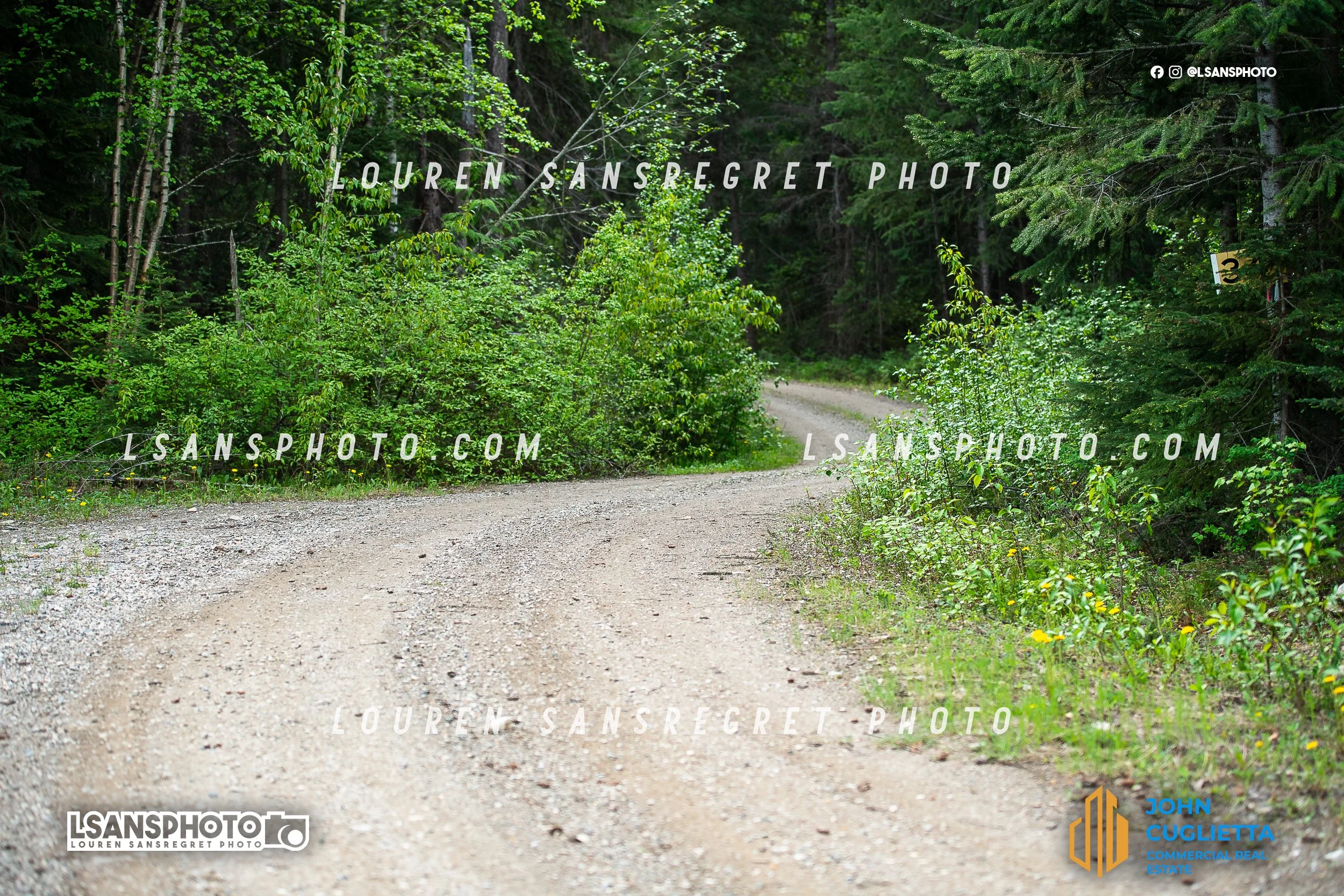 LS4_6344.jpg