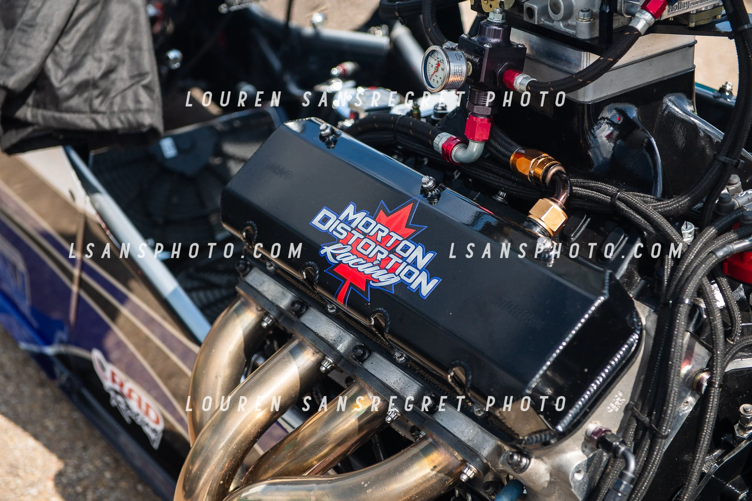 LS4_3513.jpg