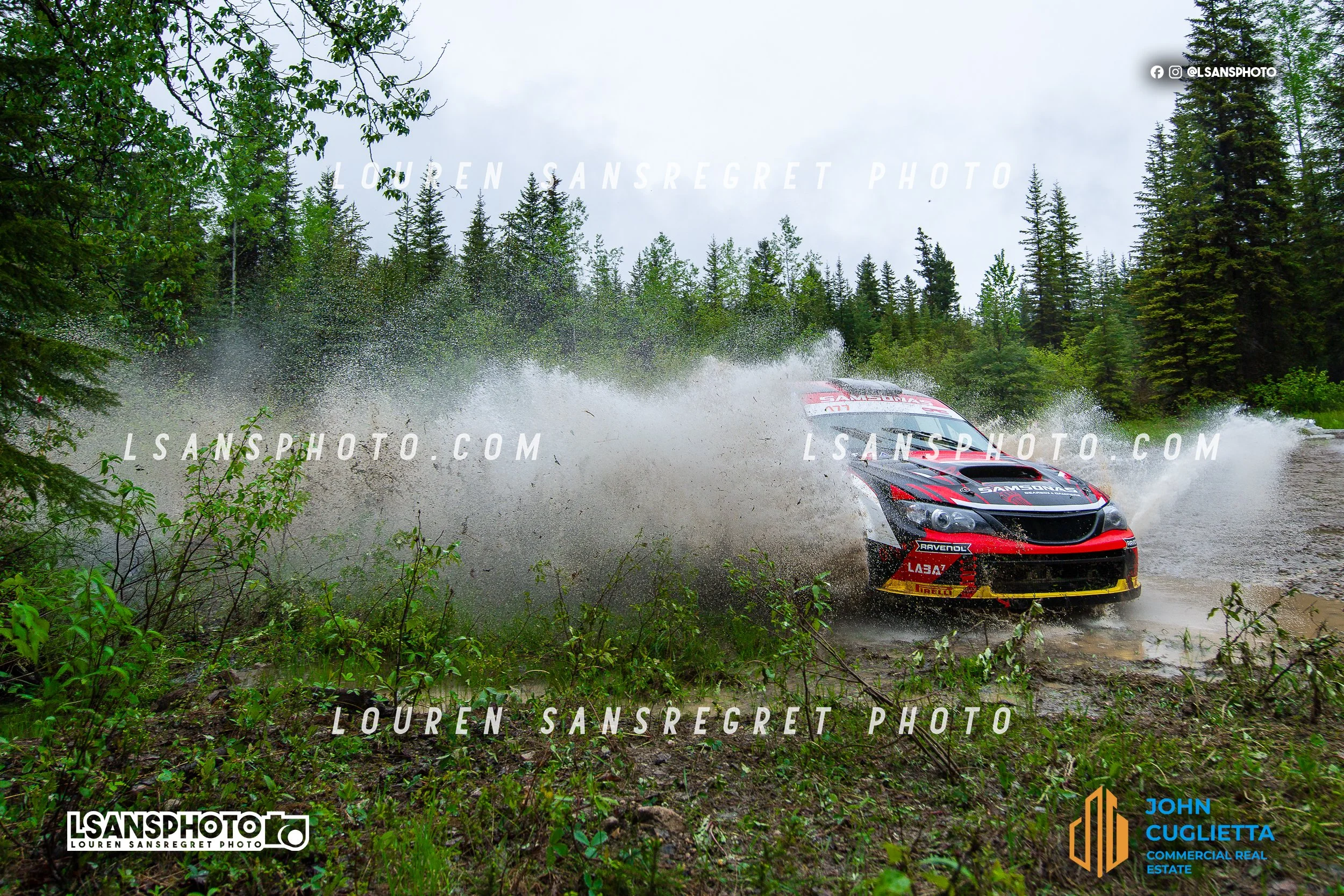 LS3_9386.jpg