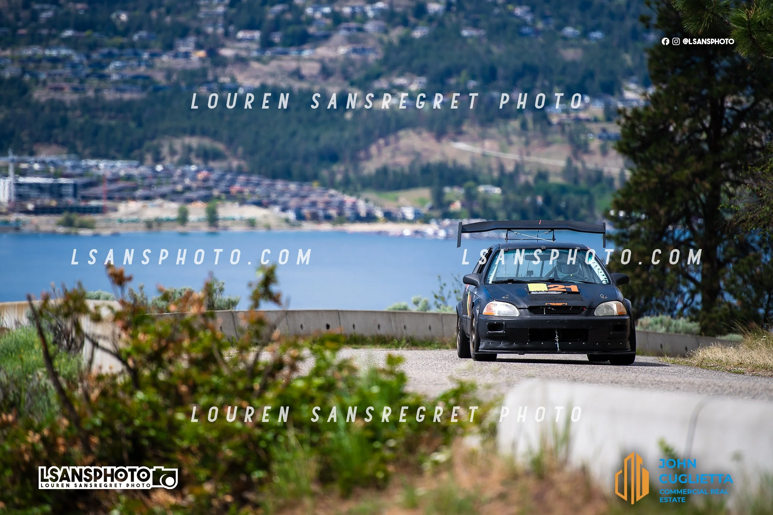 LS3_4206.jpg