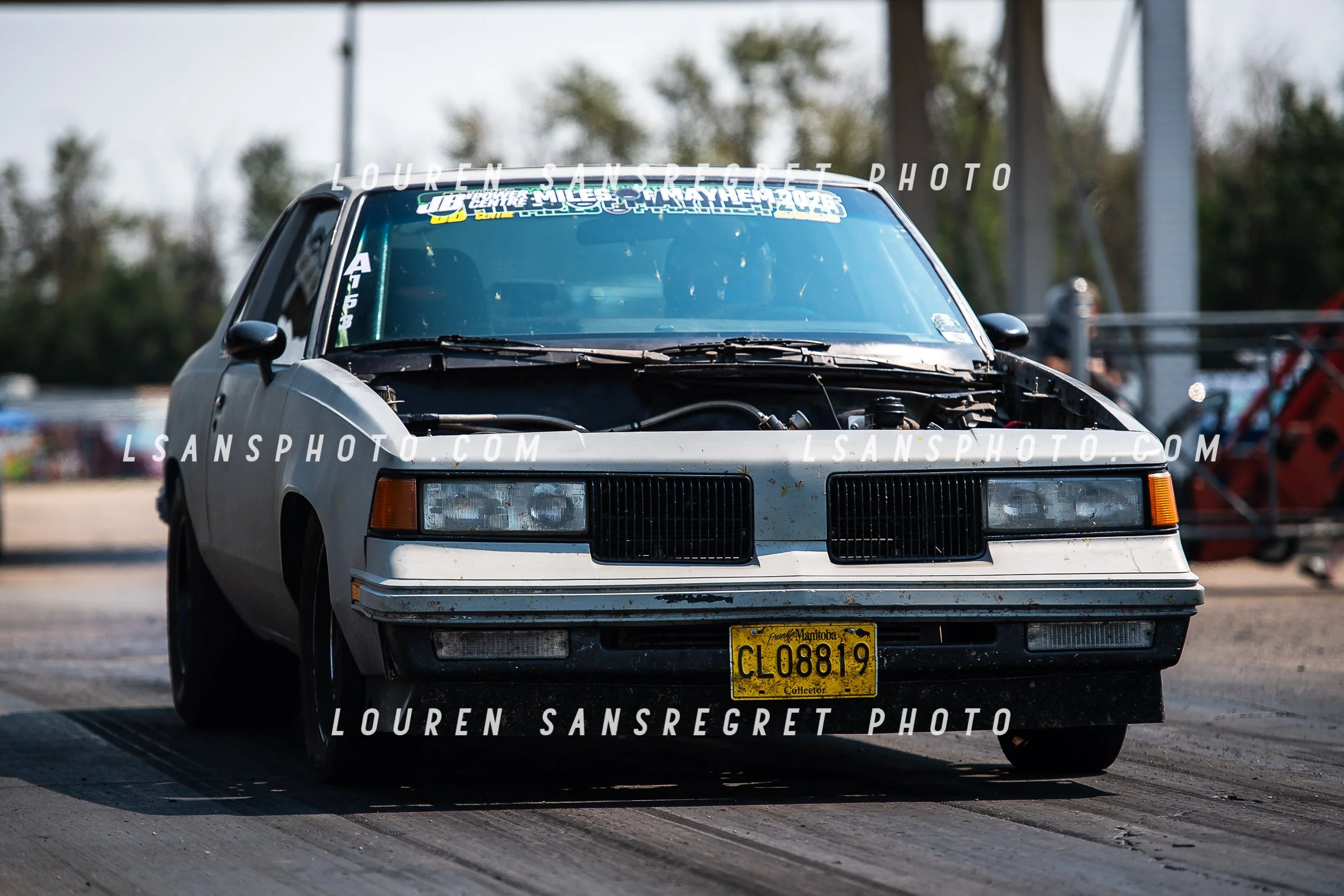 LS3_7687.jpg