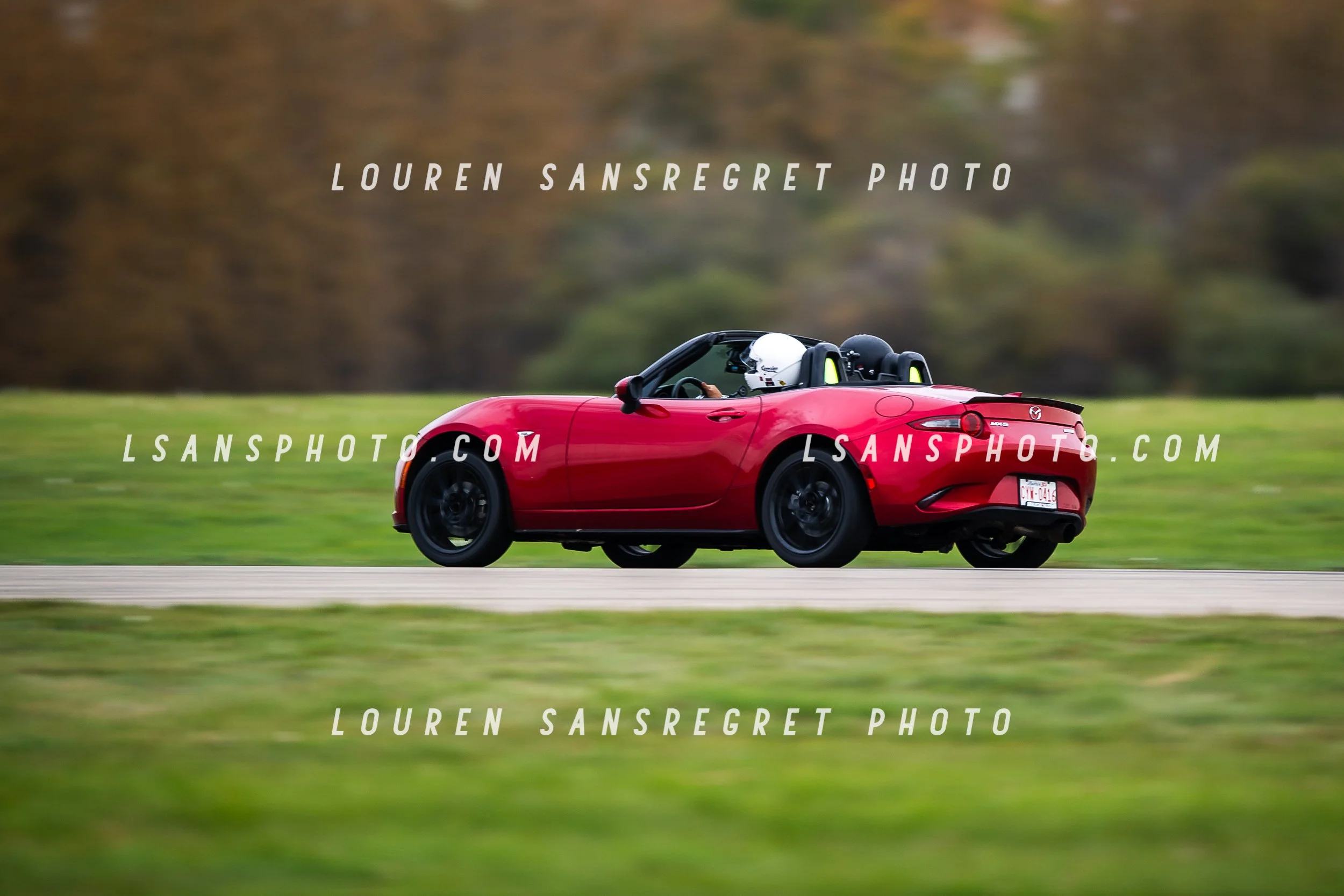 LS3_7401.jpg